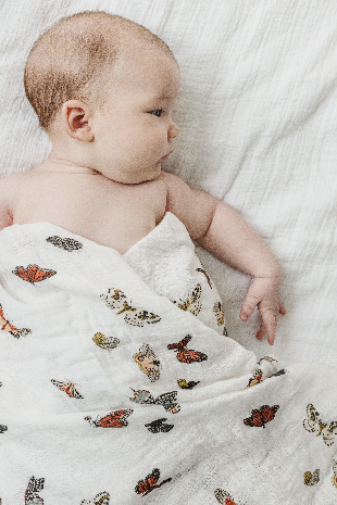Clementine Kids - Butterfly Migration Crib Sheet