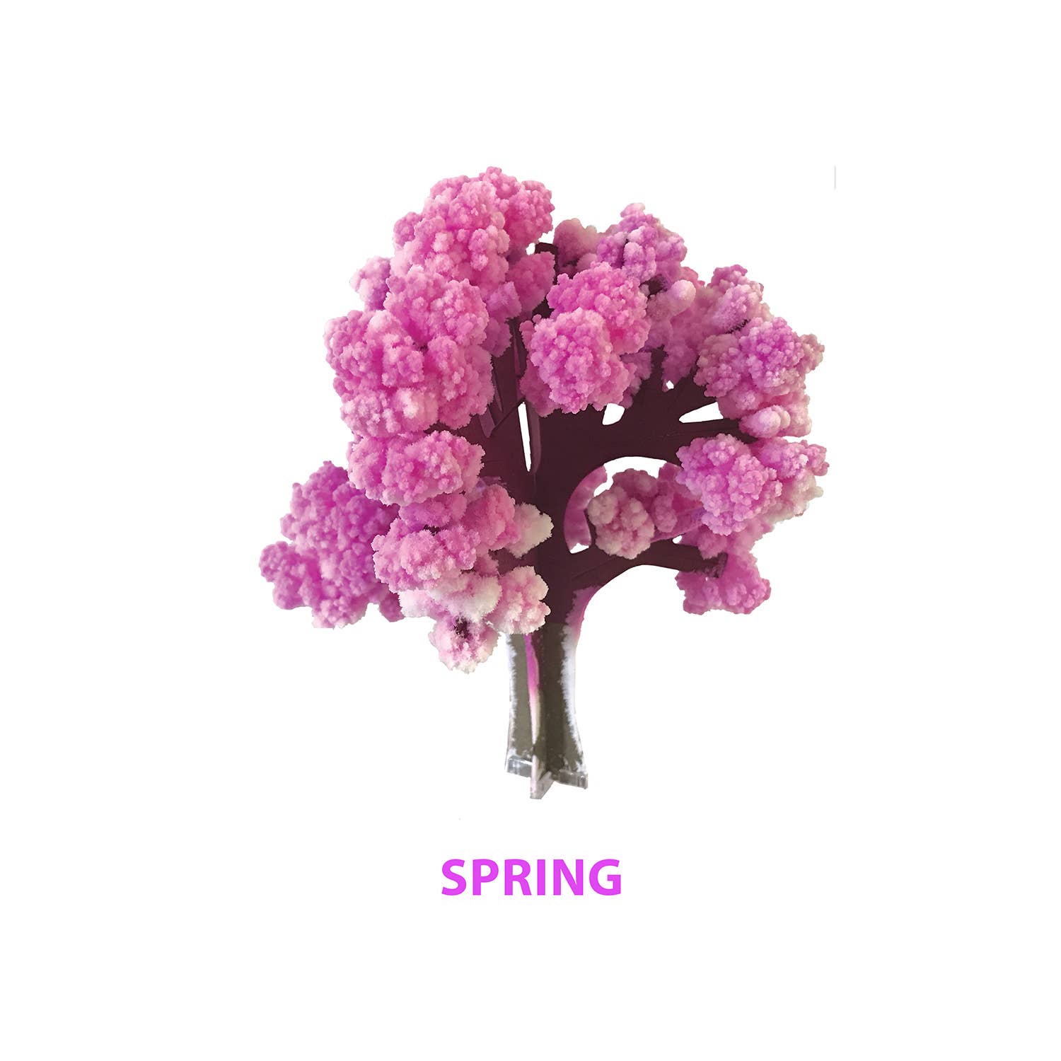 Copernicus Toys - Crystal Growing Seasons | Craft Kit Science Kit