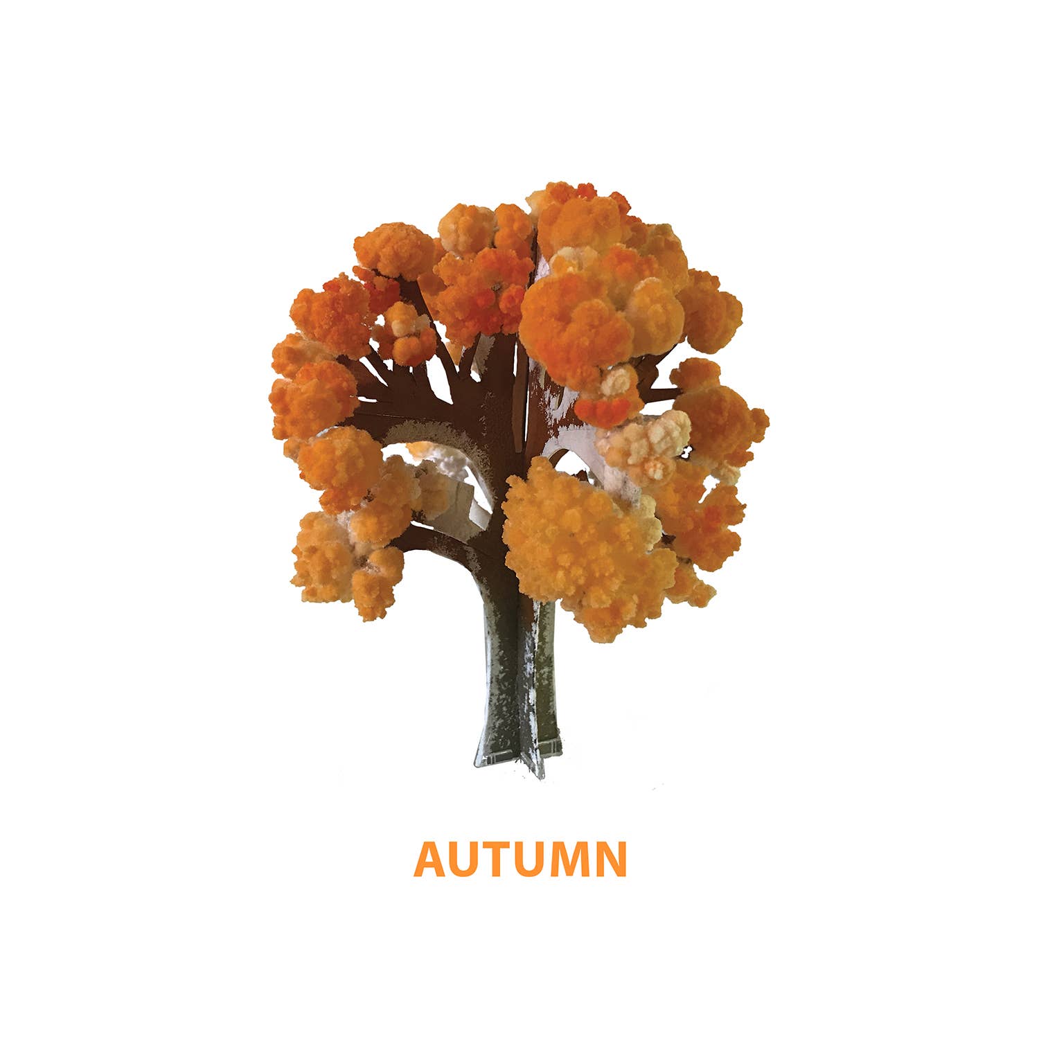 Copernicus Toys - Crystal Growing Seasons | Craft Kit Science Kit