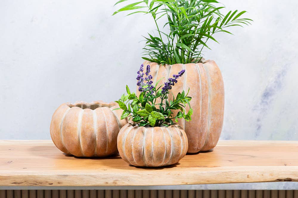 Abbott - Cement Pumpkin Planter