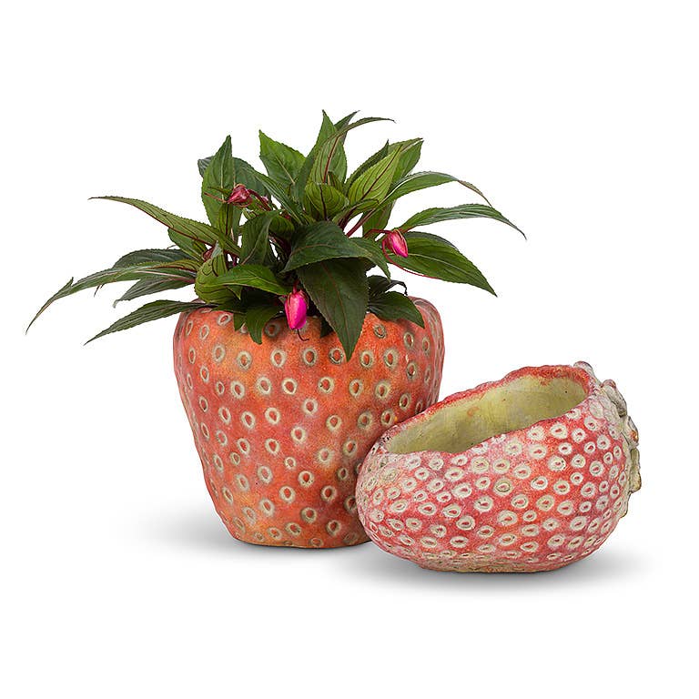 Abbott - Small Strawberry Planter-5"D