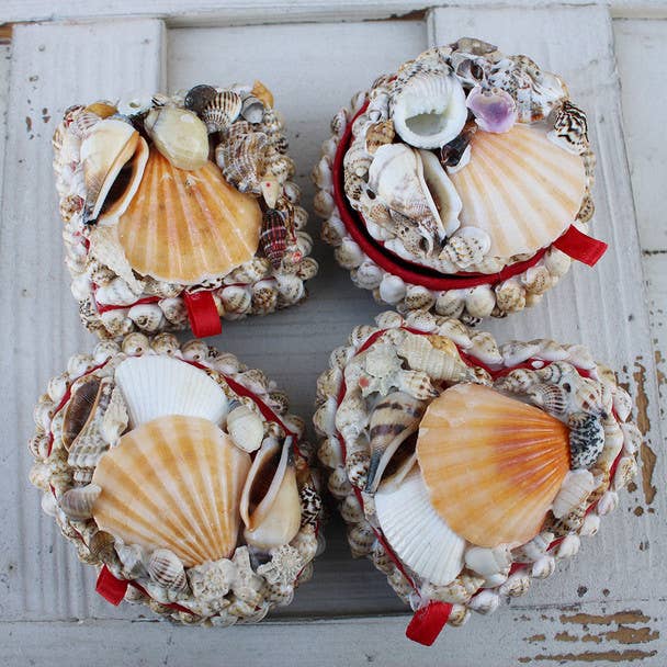 California Seashell Company - Small Shell Boxes - 4 Assorted