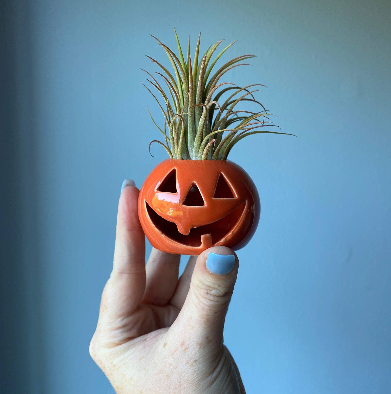 The Simply Crafty Shop - Ceramic Jack-O-Lantern Air Plant Holder