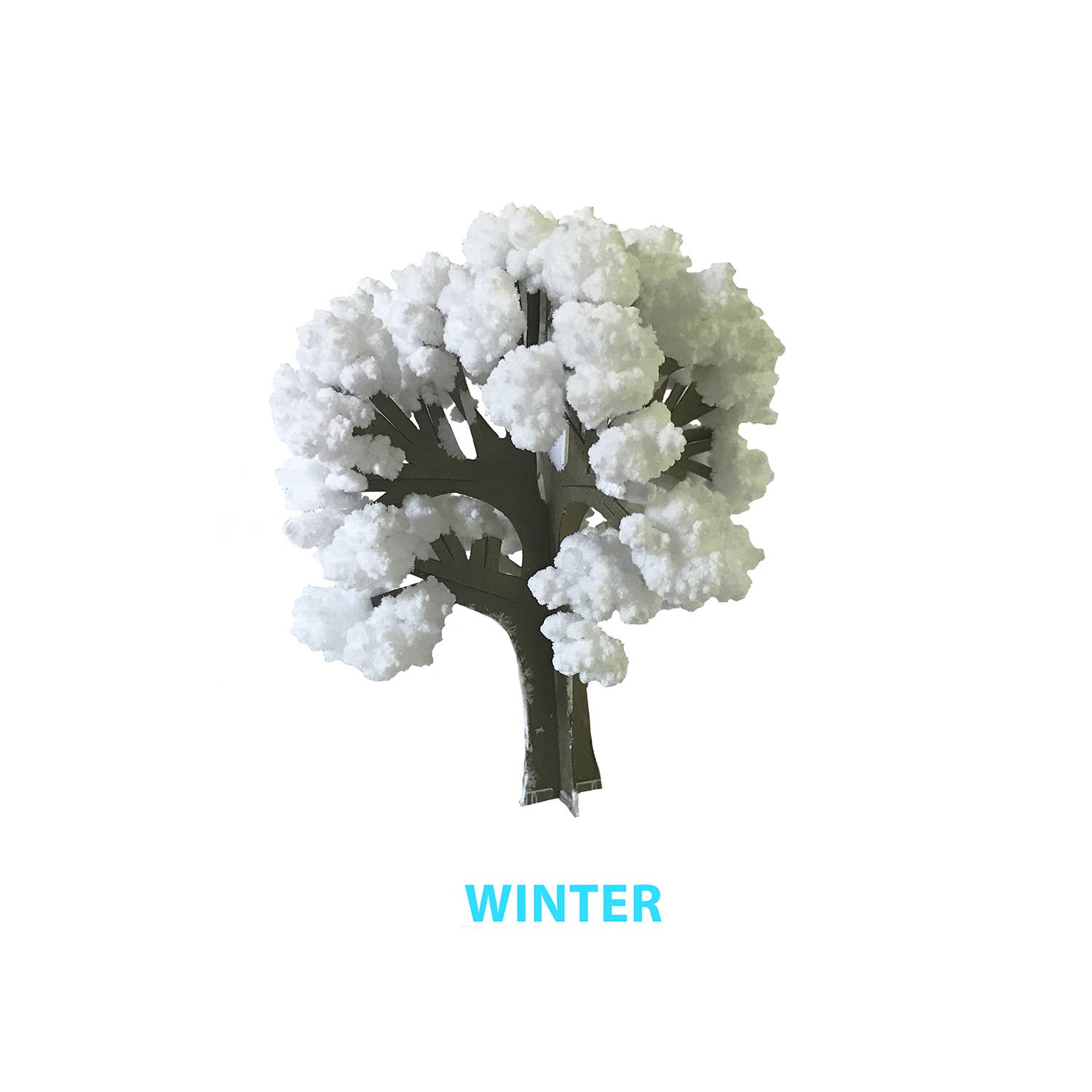Copernicus Toys - Crystal Growing Seasons | Craft Kit Science Kit