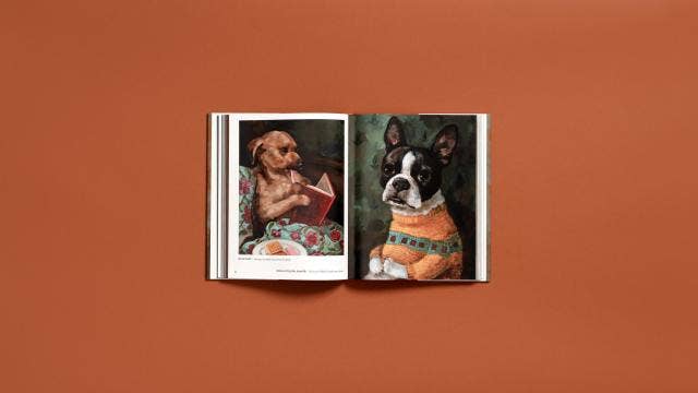 Hachette Book Group - Dog Only Knows: The Dog Portraits of Alison Friend