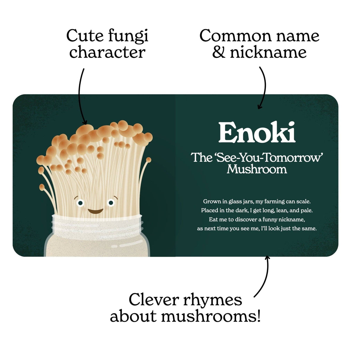 Chunky Deli - Little Book of Fungi