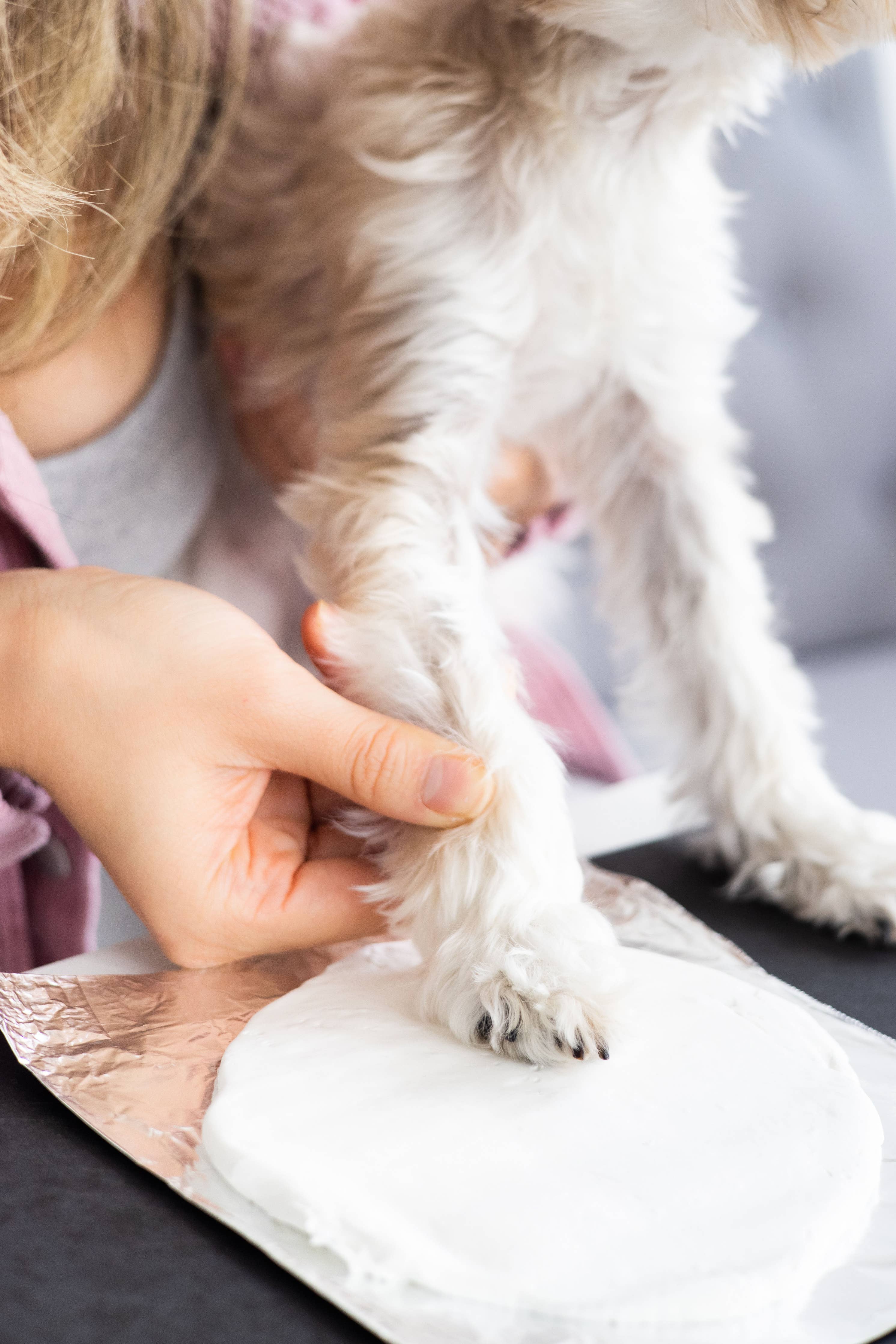Pearhead - Pawprints Keepsake Hanging Holiday Ornament, Heart Shape