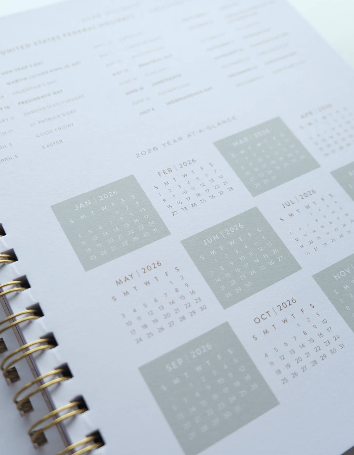 Idlewild Co. - 2026 Fullsize Softcover Planner, Primary Blooms