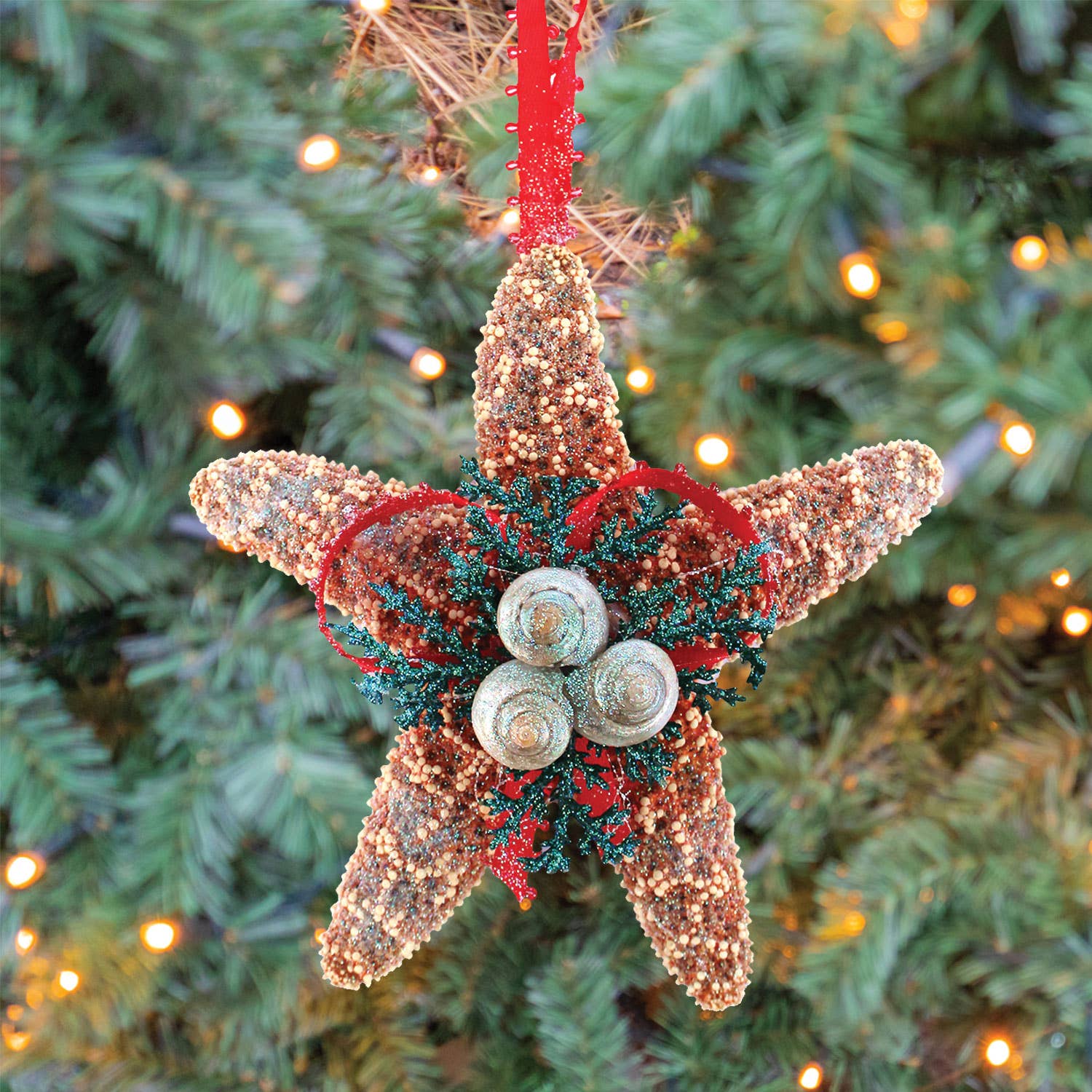 California Seashell Company - Sugar Starfish Evergreen Collage Ornament