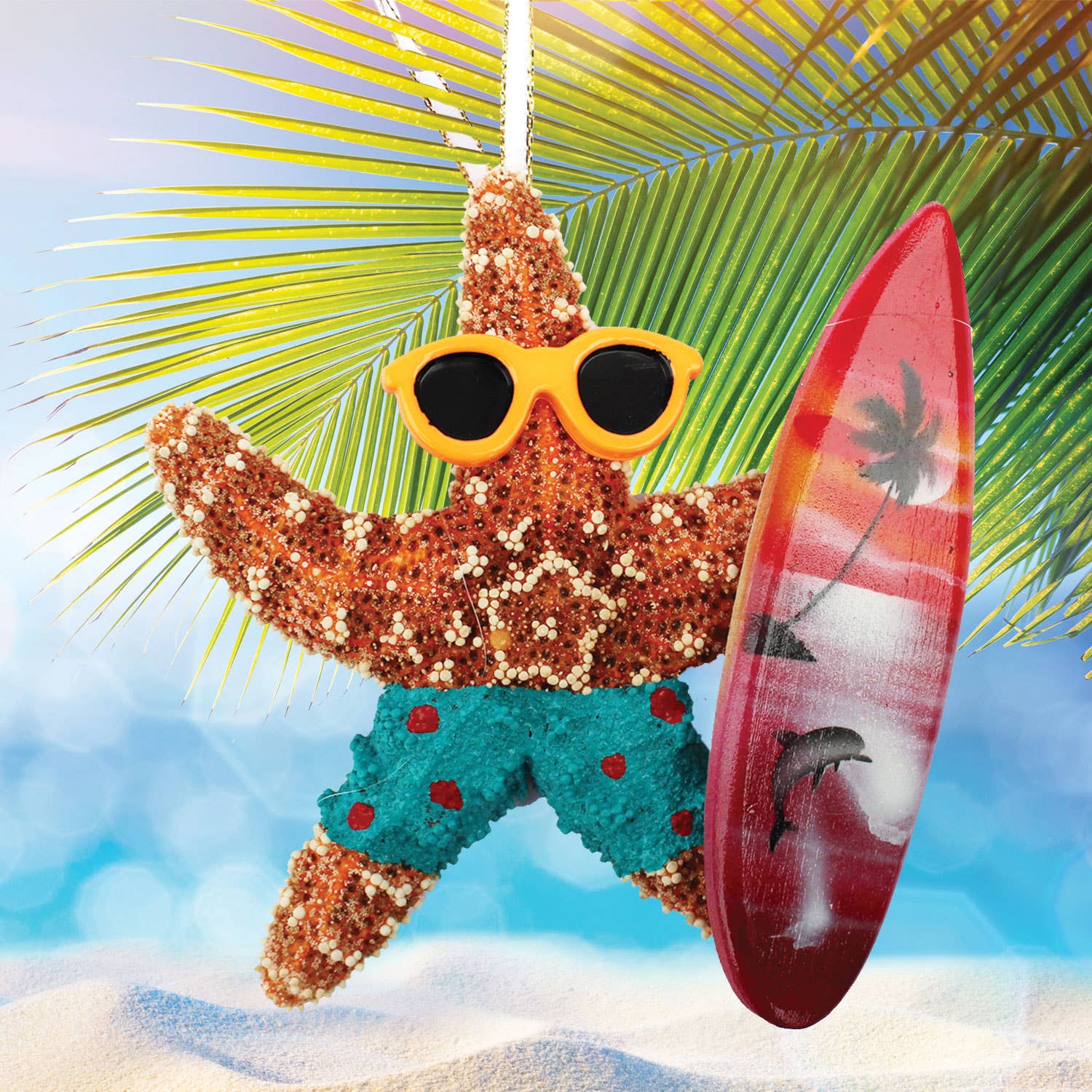 California Seashell Company - Surfer Sugar Starfish Ornament