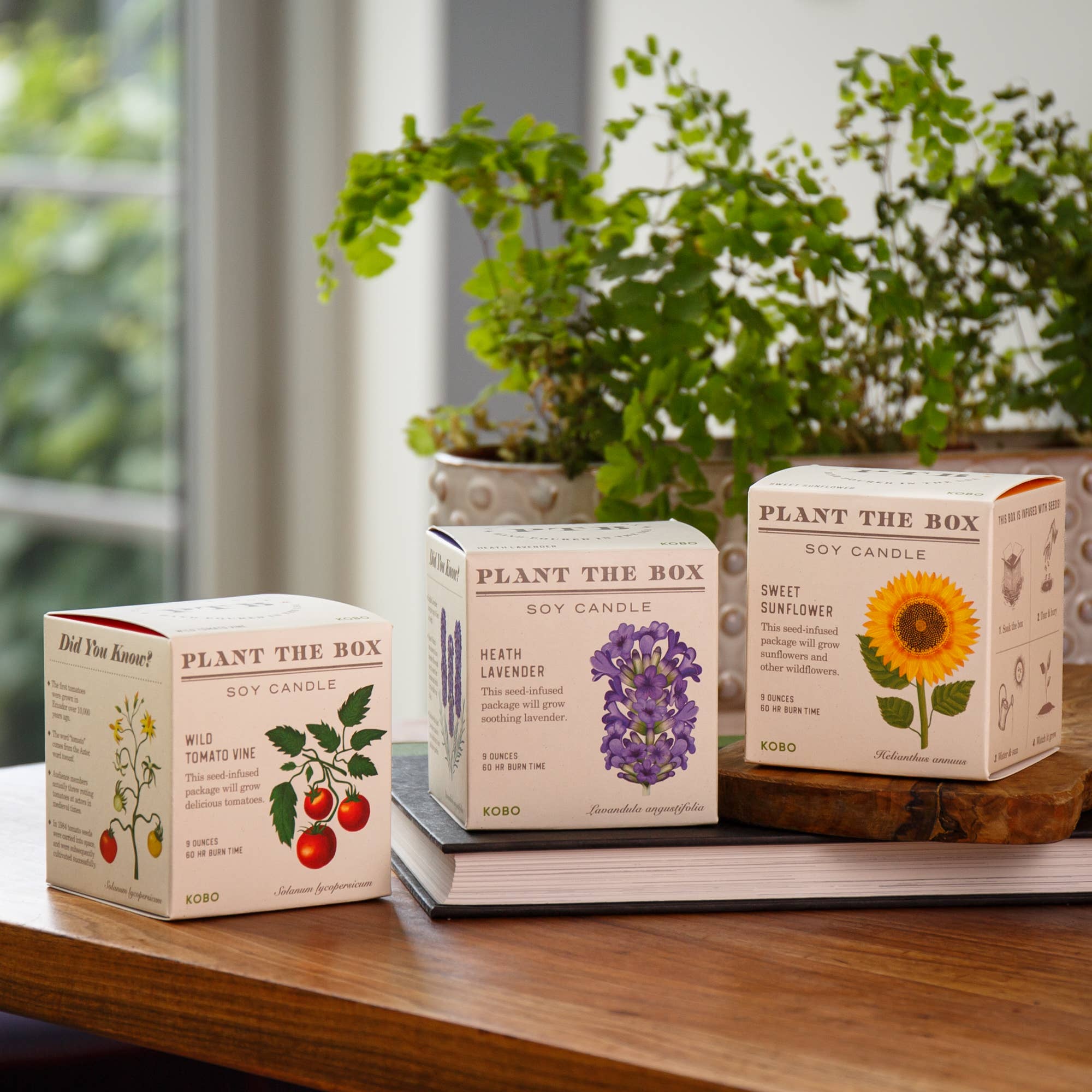 KOBO - Wild Tomato Vine - Plant the Box Candle - 9oz.