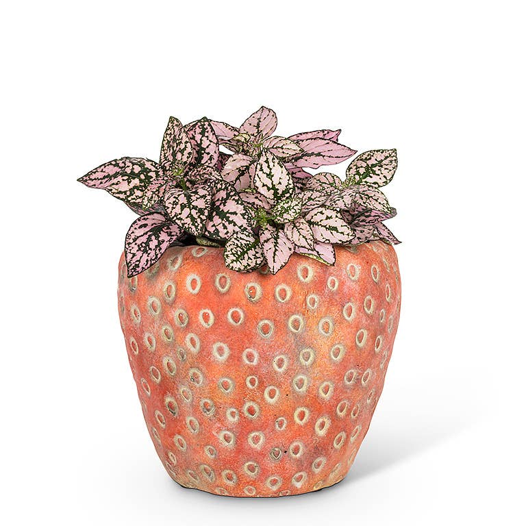 Abbott - Small Strawberry Planter-5"D