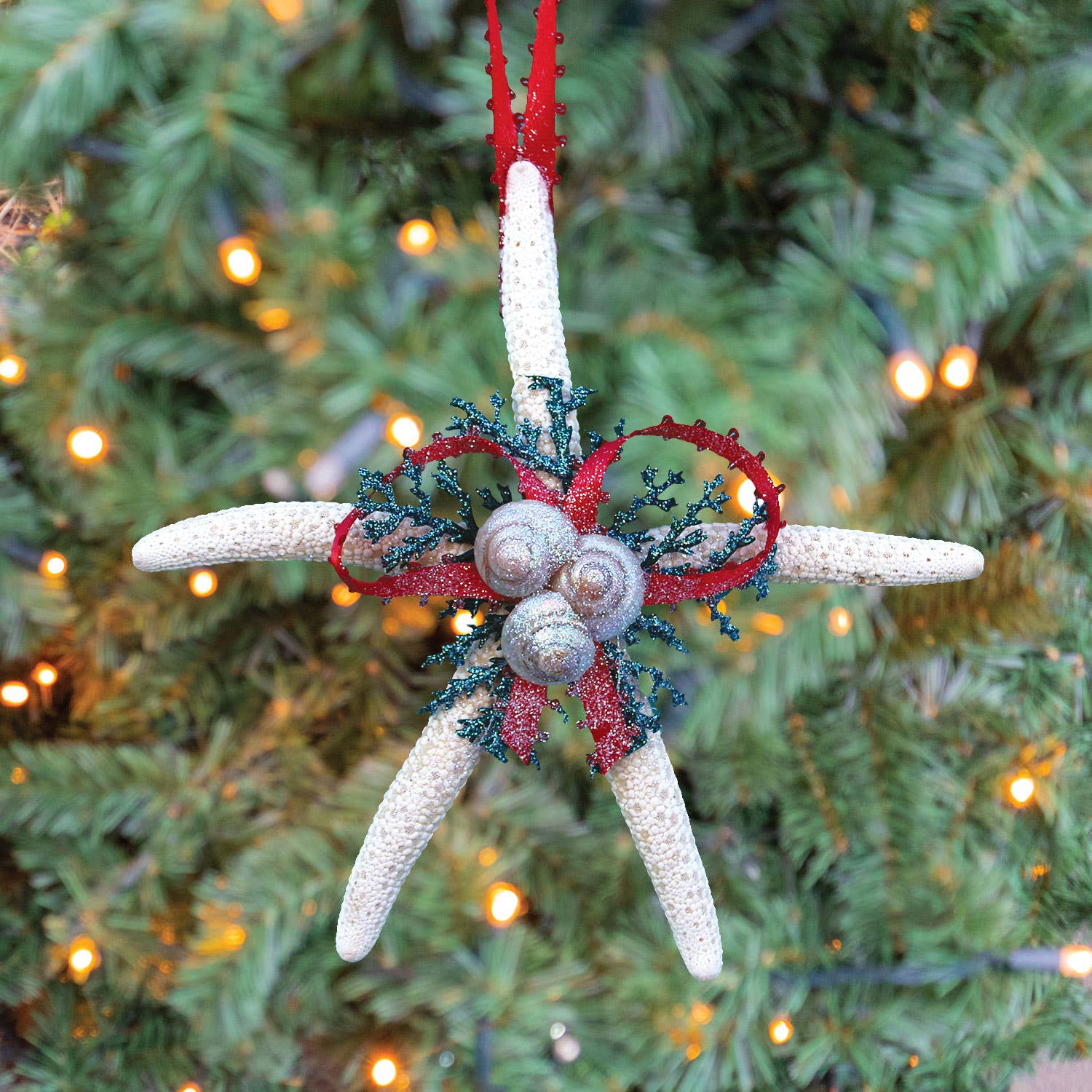 California Seashell Company - White Finger Starfish Evergreen Collage Ornament
