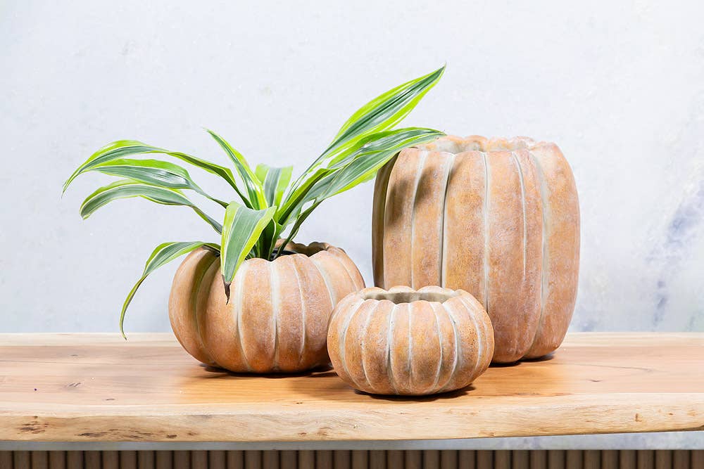 Abbott - Cement Pumpkin Planter