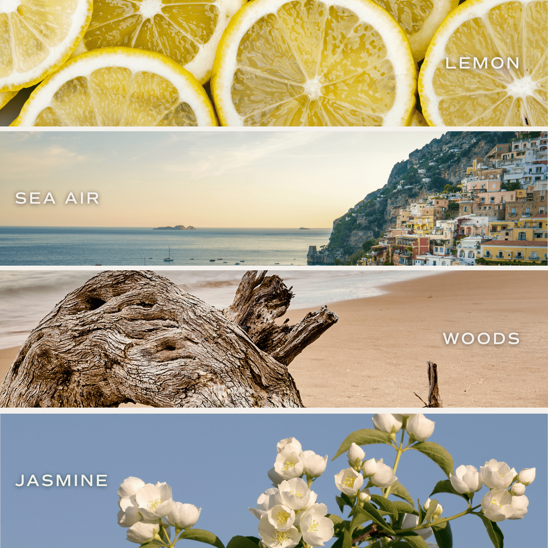 Sweet Water Decor - *NEW* Coastal Lemon 9 oz Soy Candle