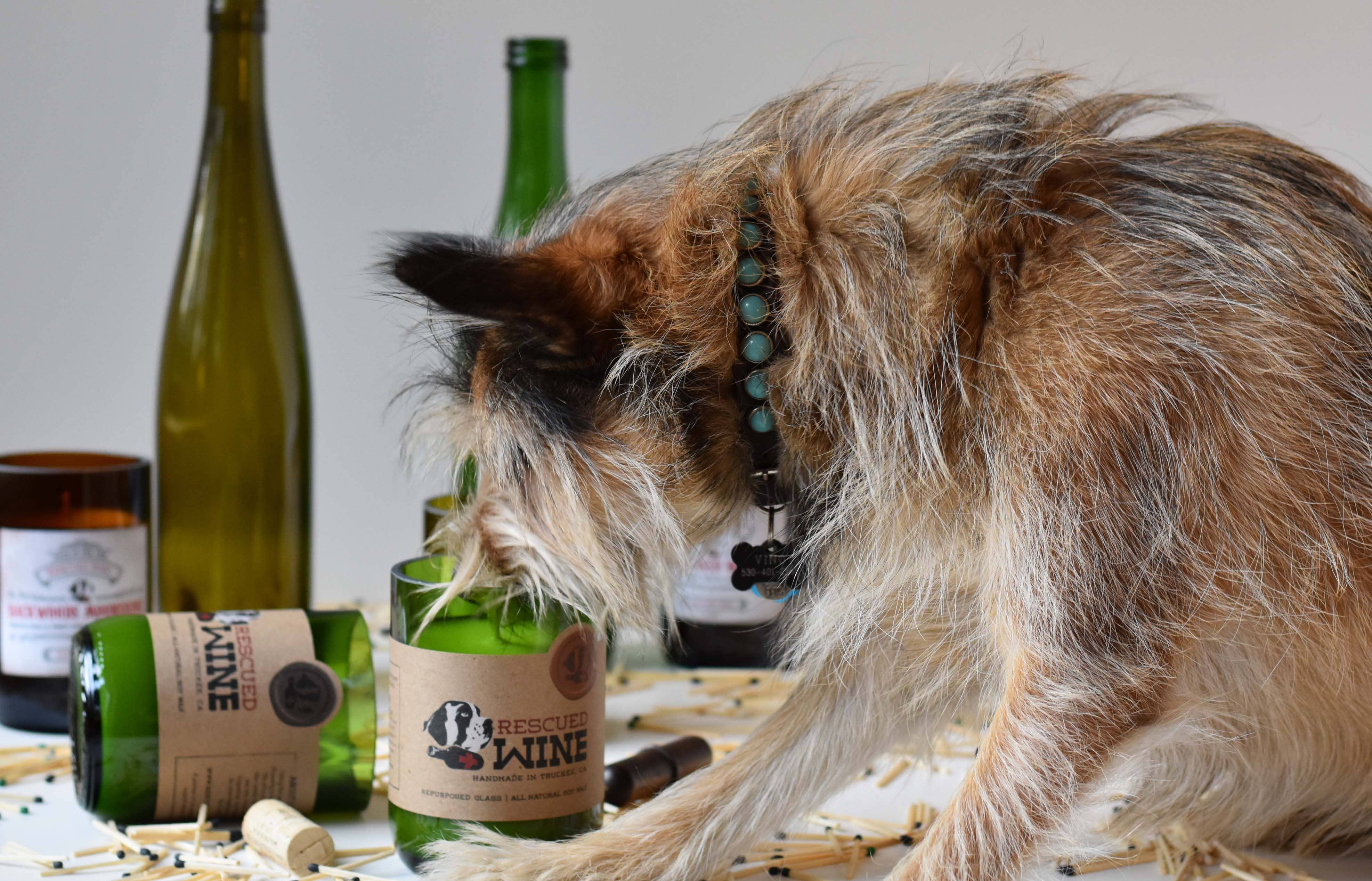 Rescued Wine Candles - Santa's Reserve Soy Candle - Spirits - Christmas Candle -ECO