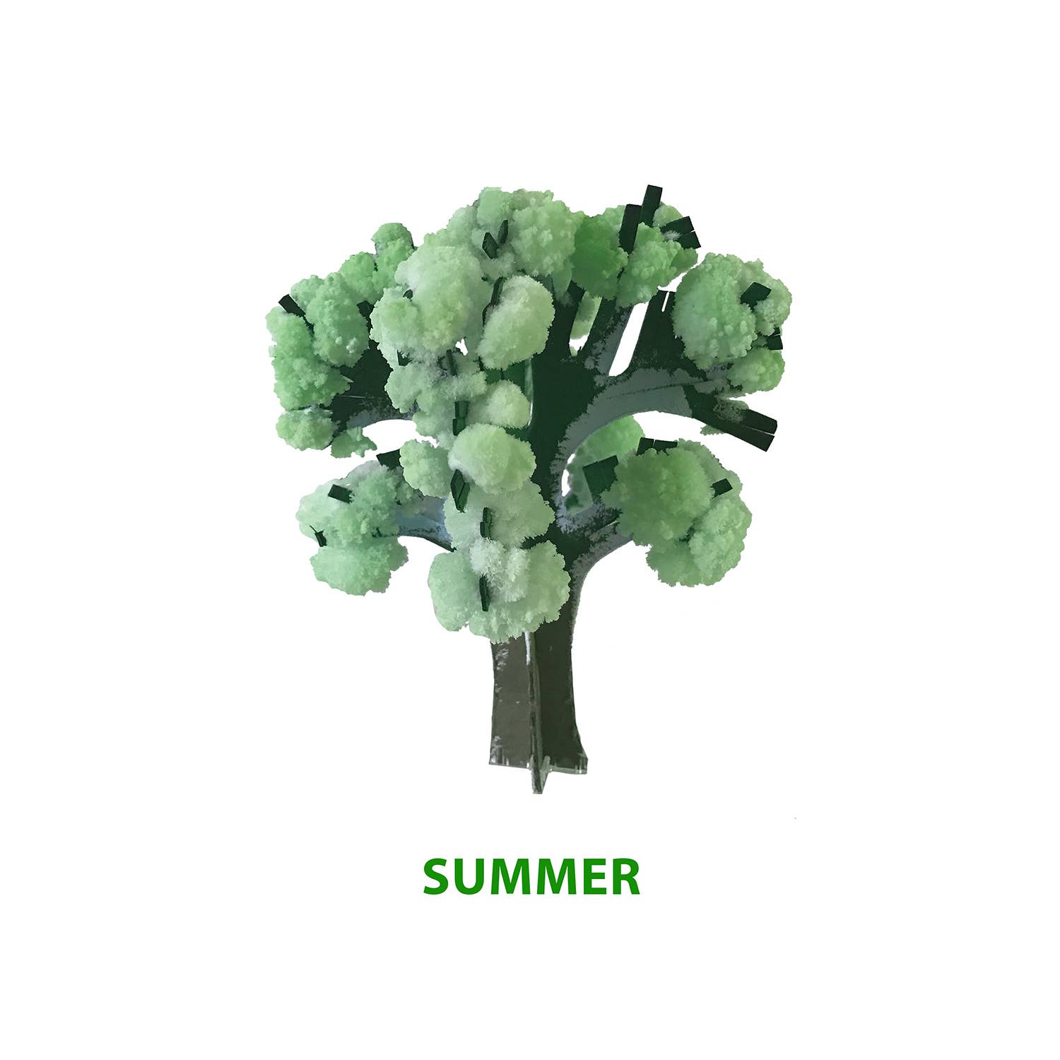 Copernicus Toys - Crystal Growing Seasons | Craft Kit Science Kit