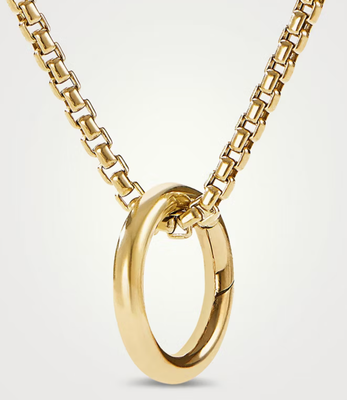 HoopLa - Full Circle Charm Collector Amulet Necklaces 18K PVD Gold