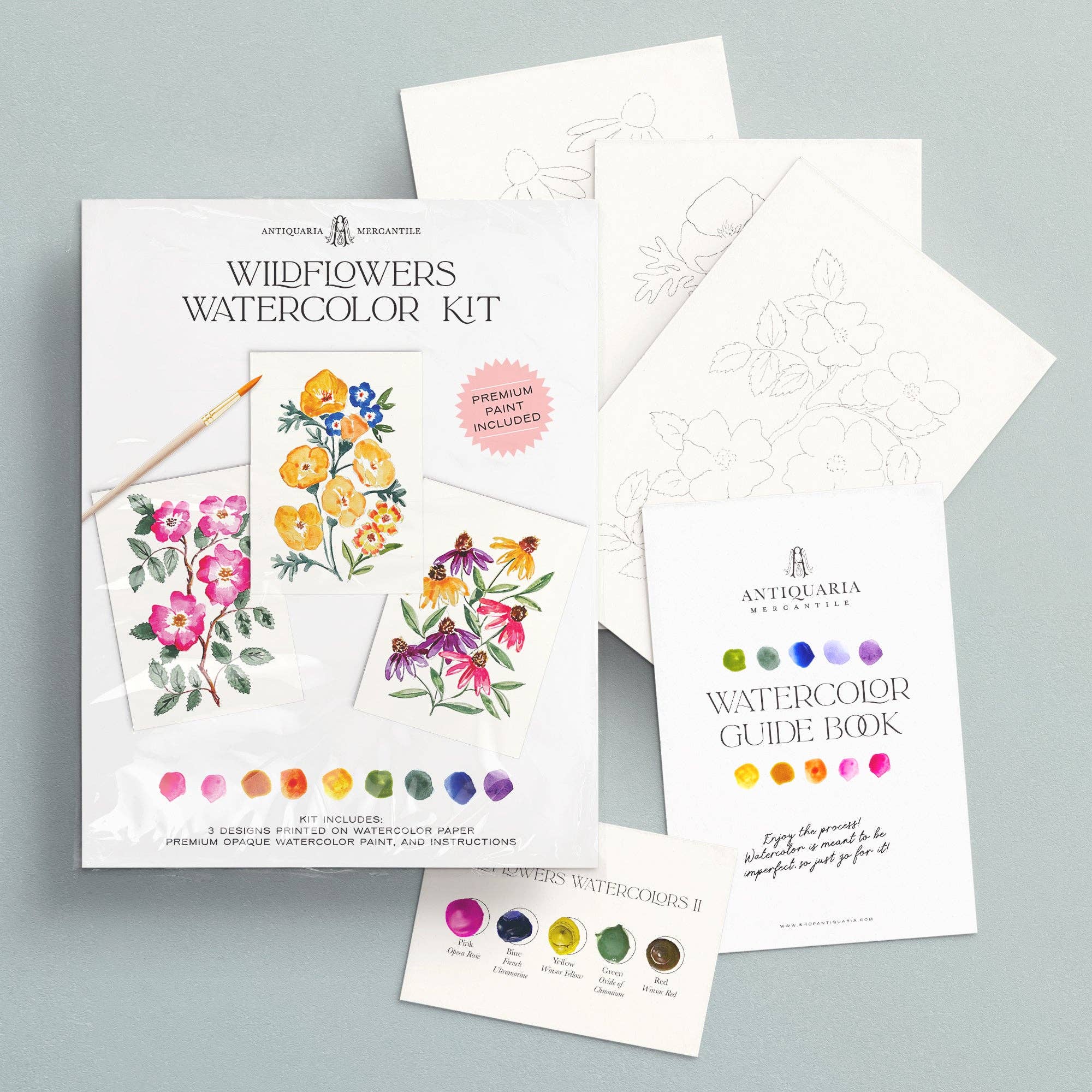 Antiquaria - Watercolor Painting Kit : Wildflowers No1