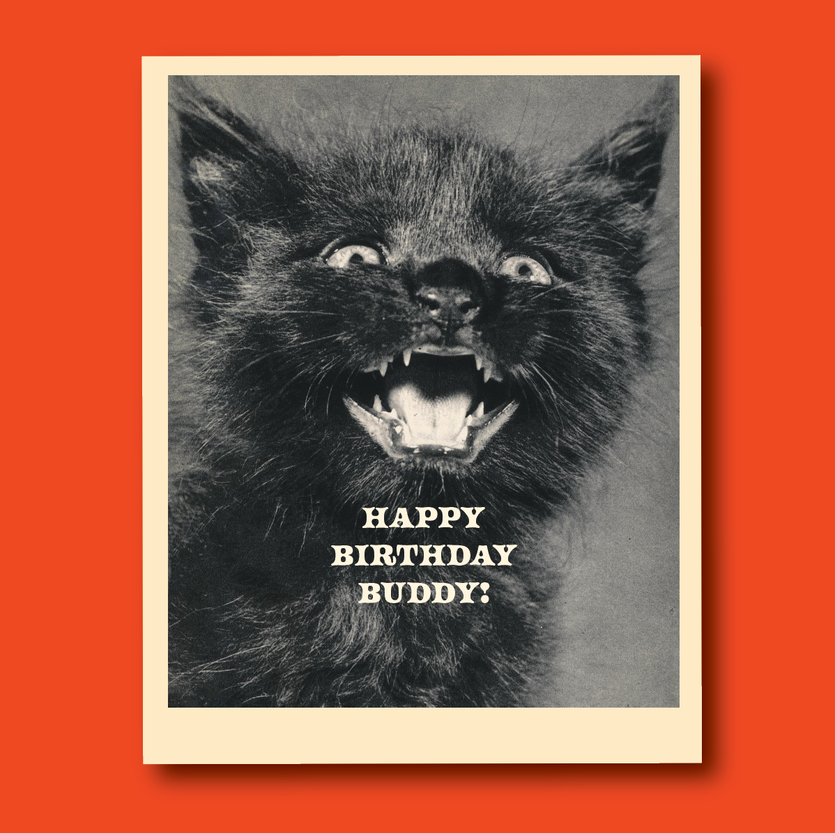 offensivedelightful - BIRTHDAY BUDDY