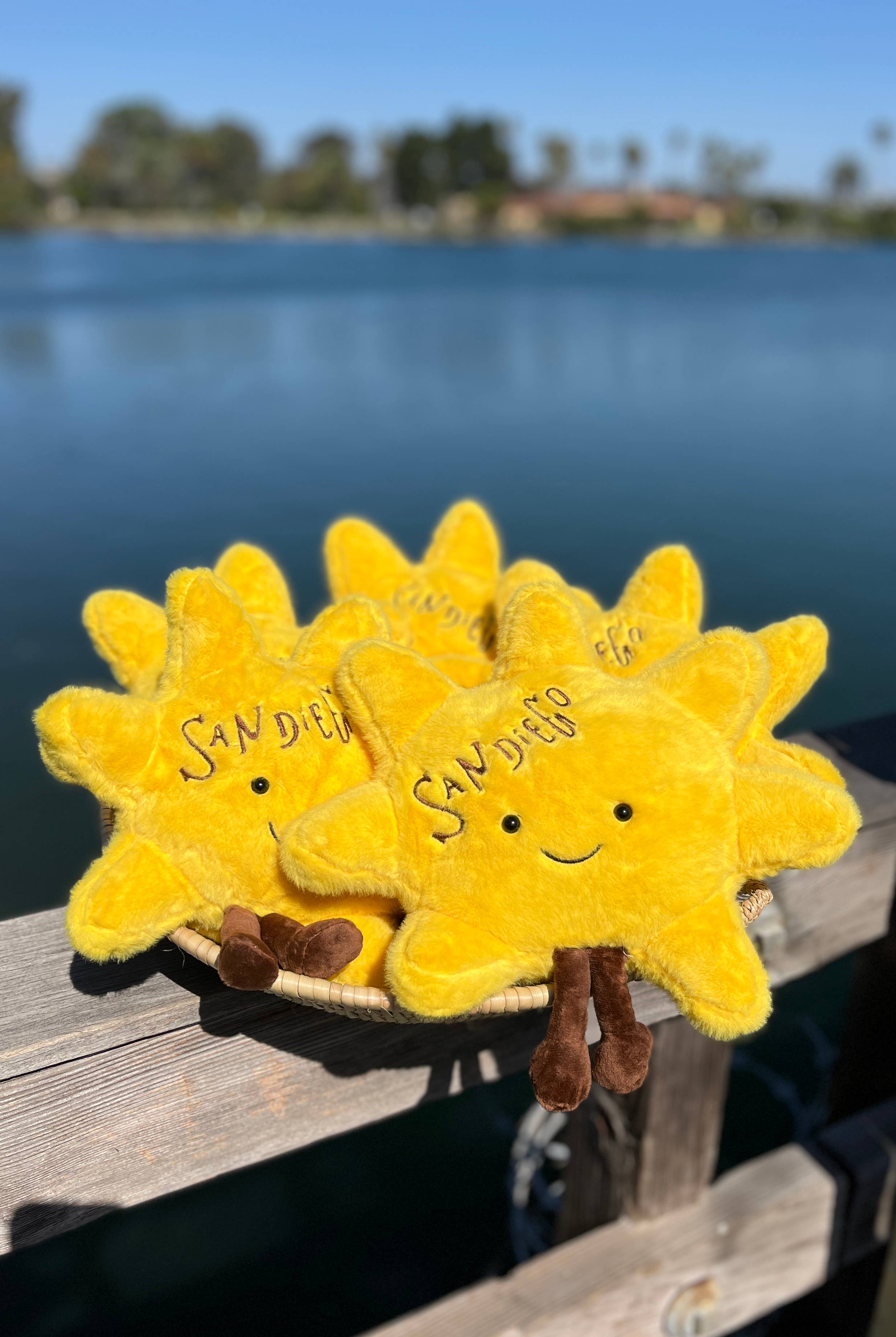 La Ranchita's - San Diego Sun Plush + San Diego Socks + San Diego Sticker