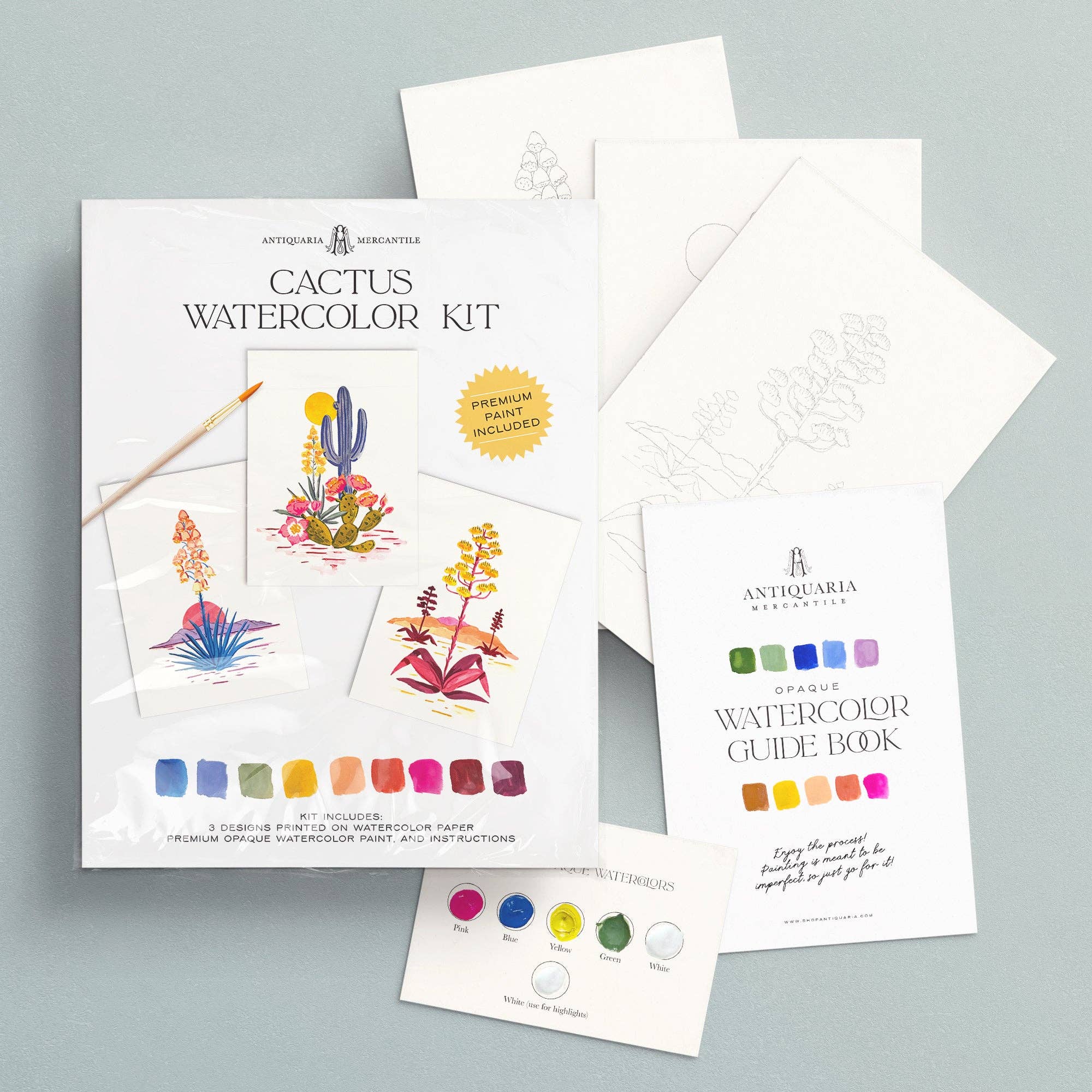 Antiquaria - Watercolor Painting Kit: Cactus