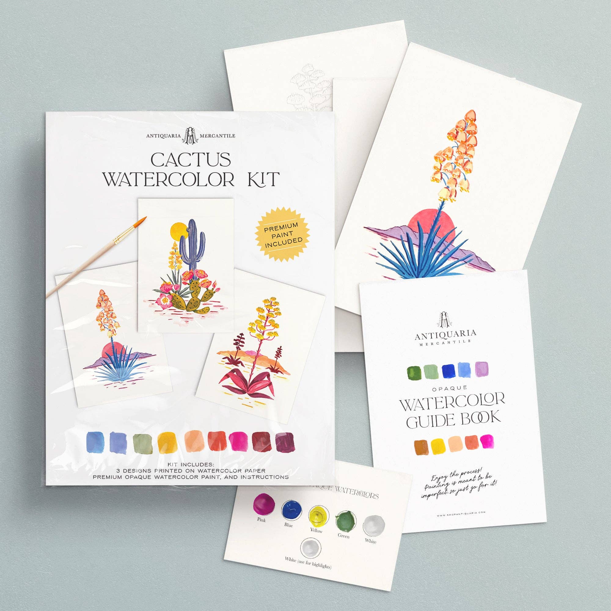 Antiquaria - Watercolor Painting Kit: Cactus