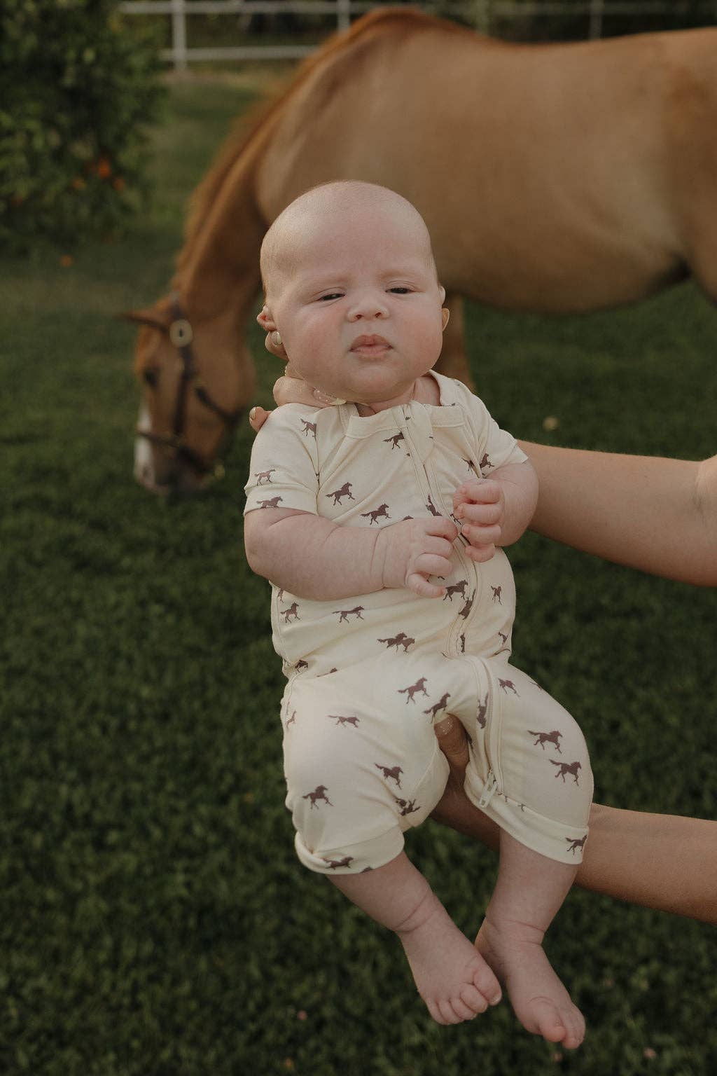Forever French Baby - Shortie Bamboo Zip | Wild Horses
