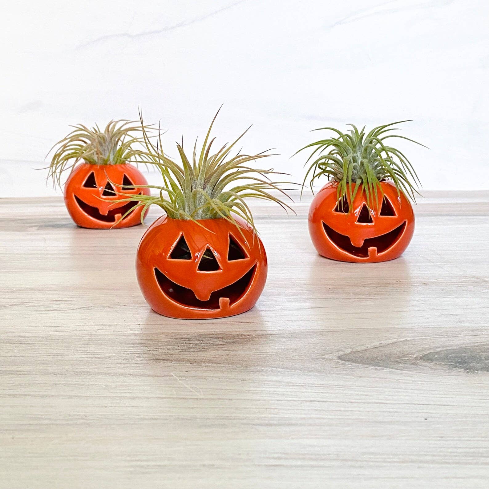 The Simply Crafty Shop - Ceramic Jack-O-Lantern Air Plant Holder