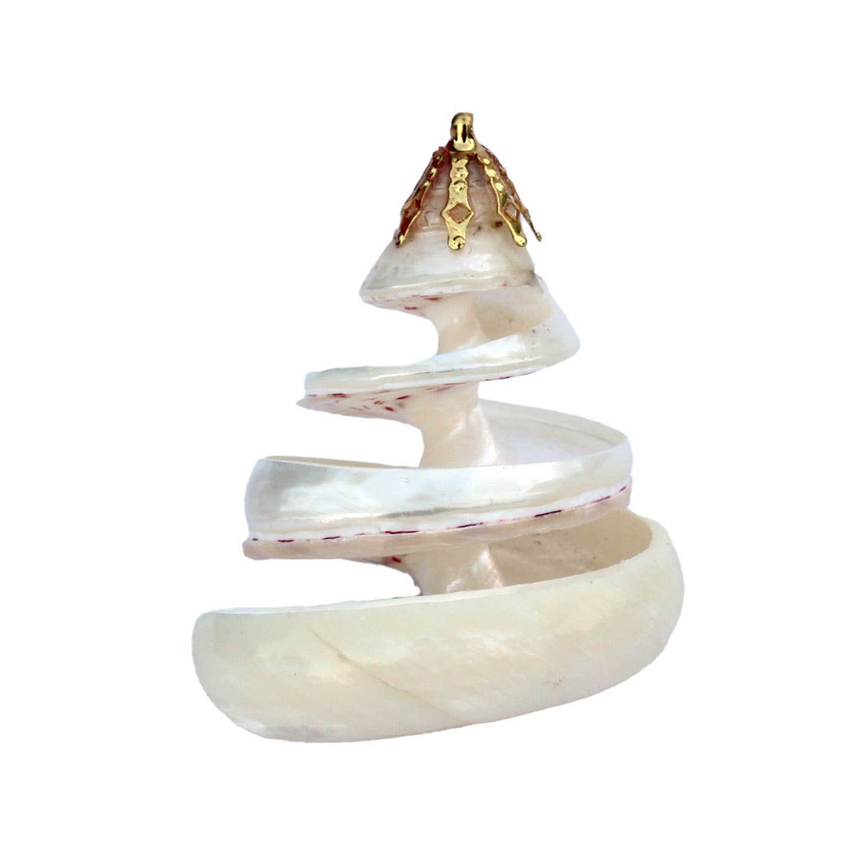 California Seashell Company - Small Spiral Cut Trochus Shell Ornament