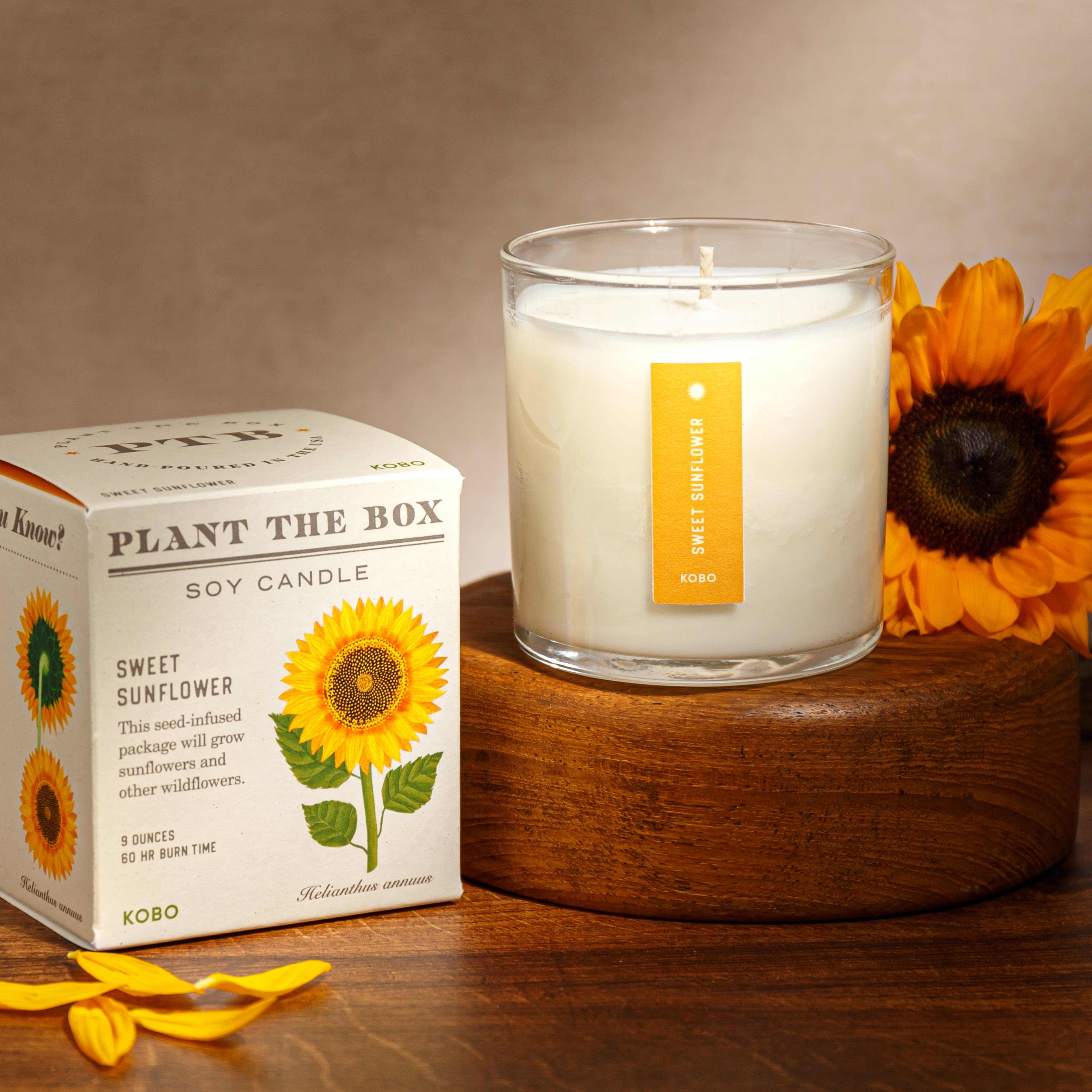 KOBO - Sweet Sunflower - Plant the Box Candle - 9oz.