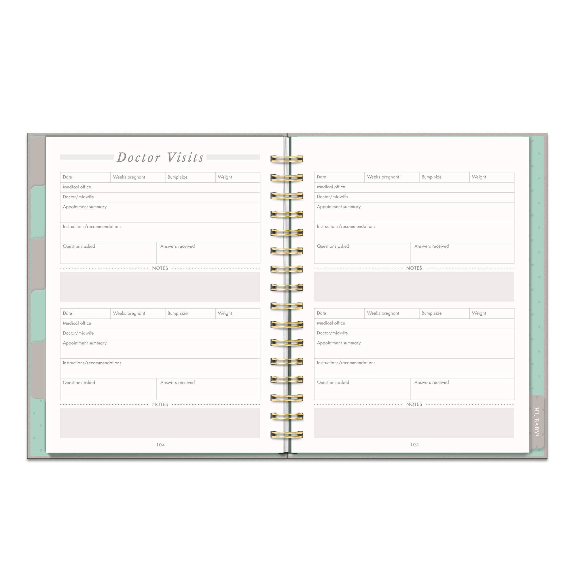 Studio Oh! - Countdown to Baby Undated Pregnancy Planner