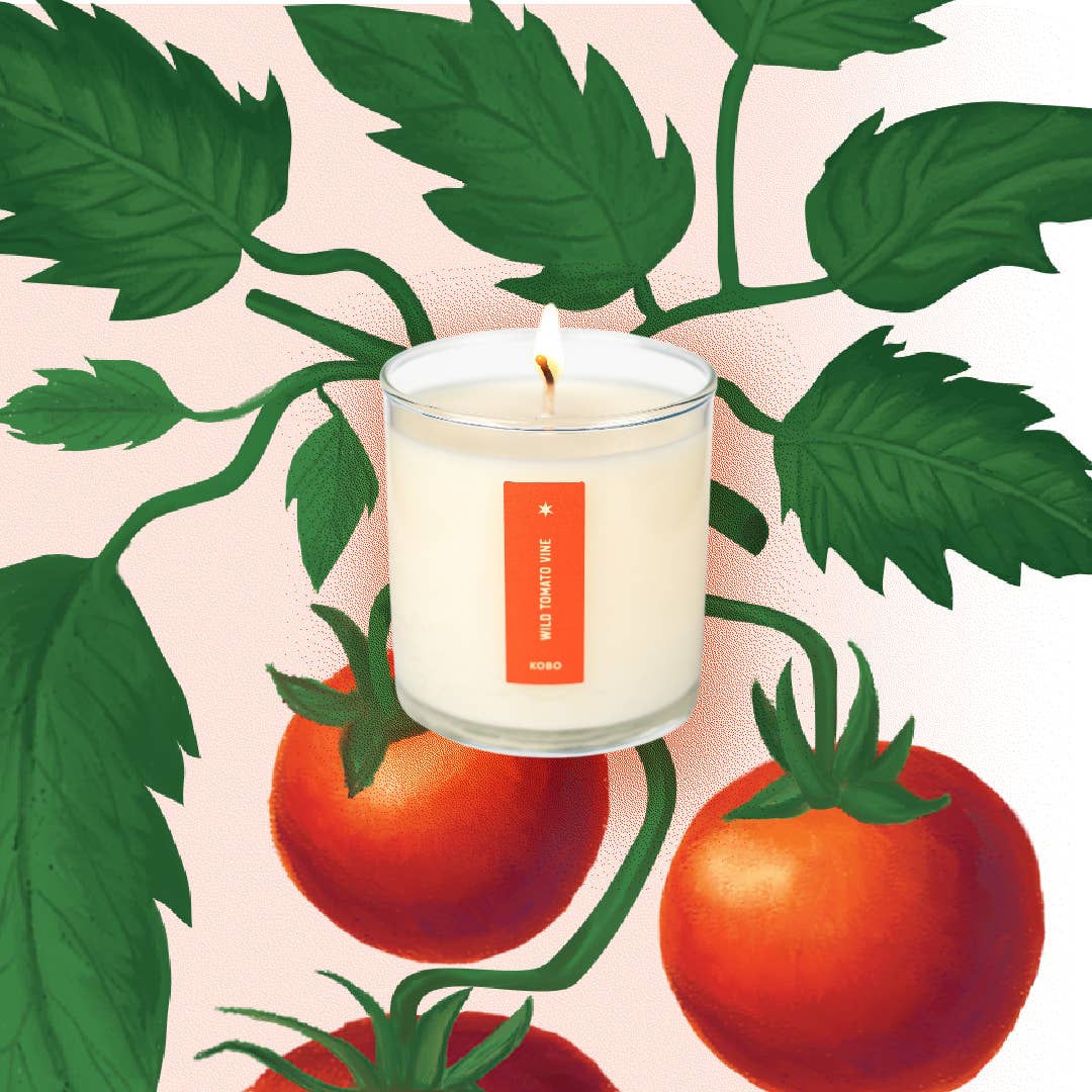 KOBO - Wild Tomato Vine - Plant the Box Candle - 9oz.
