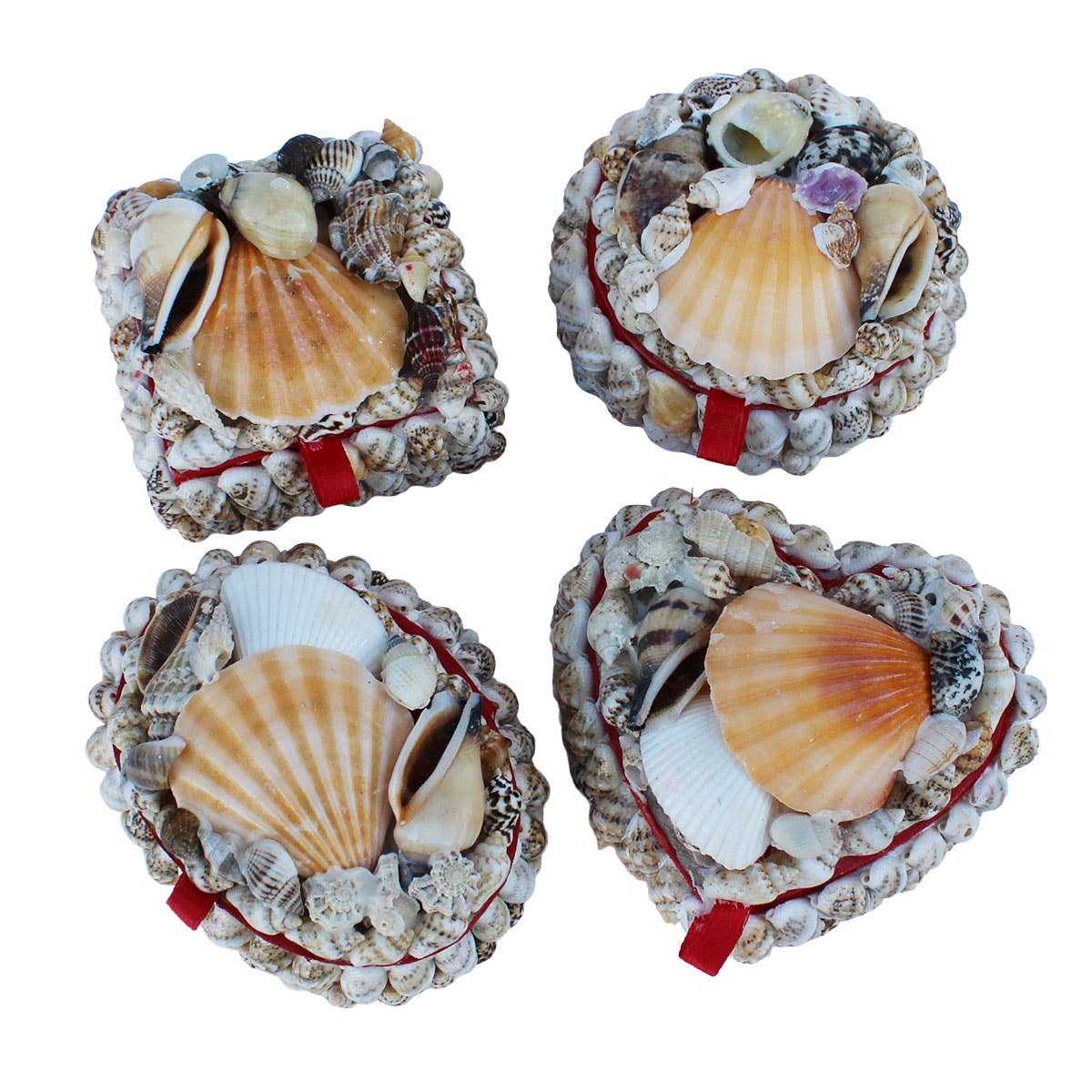 California Seashell Company - Small Shell Boxes - 4 Assorted