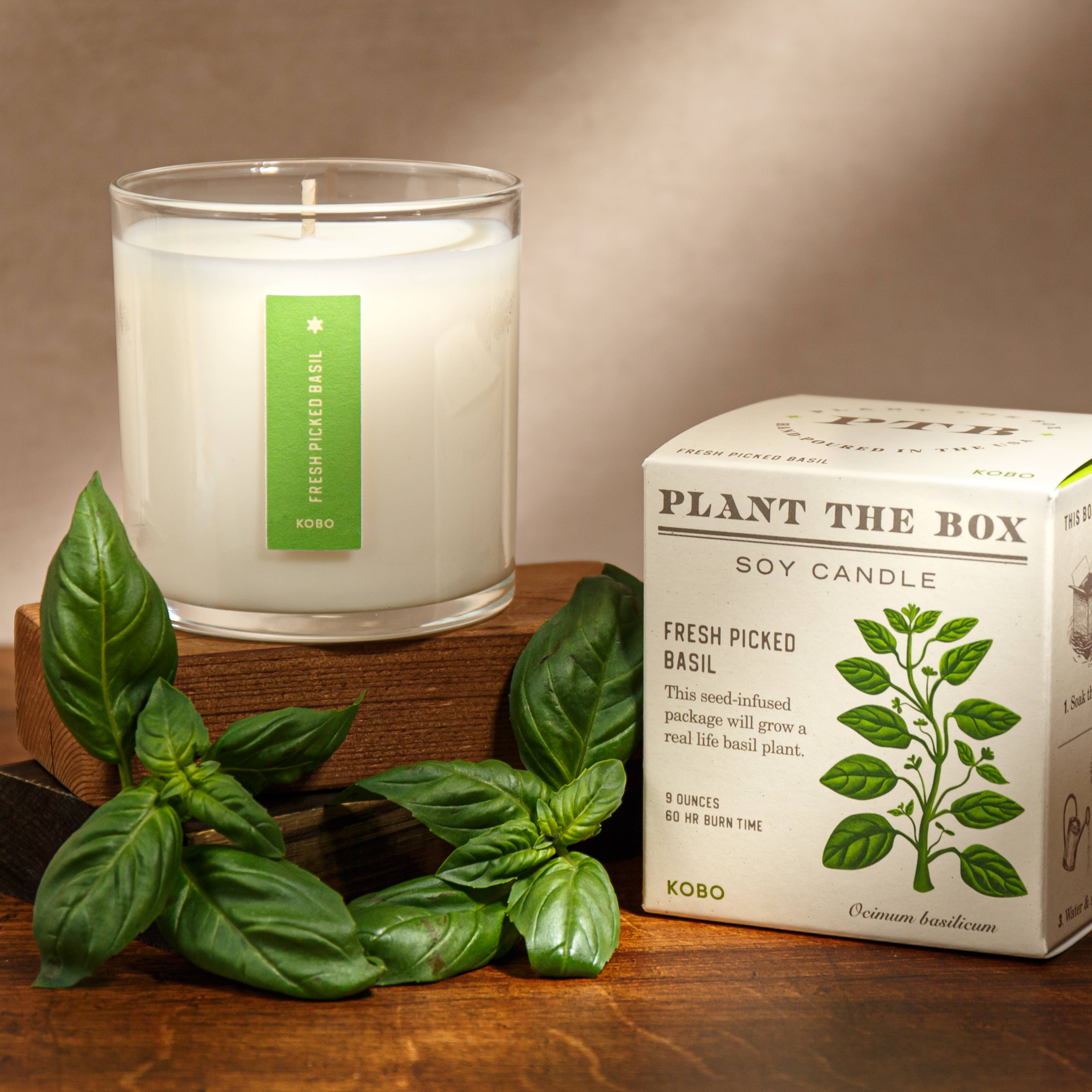 KOBO - Fresh Picked Basil - Plant the Box Candle - 9oz.