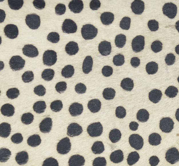 STUDIO CALEIDOSCOPE - Grace Crossbody Bag -Printed Hairon Leather