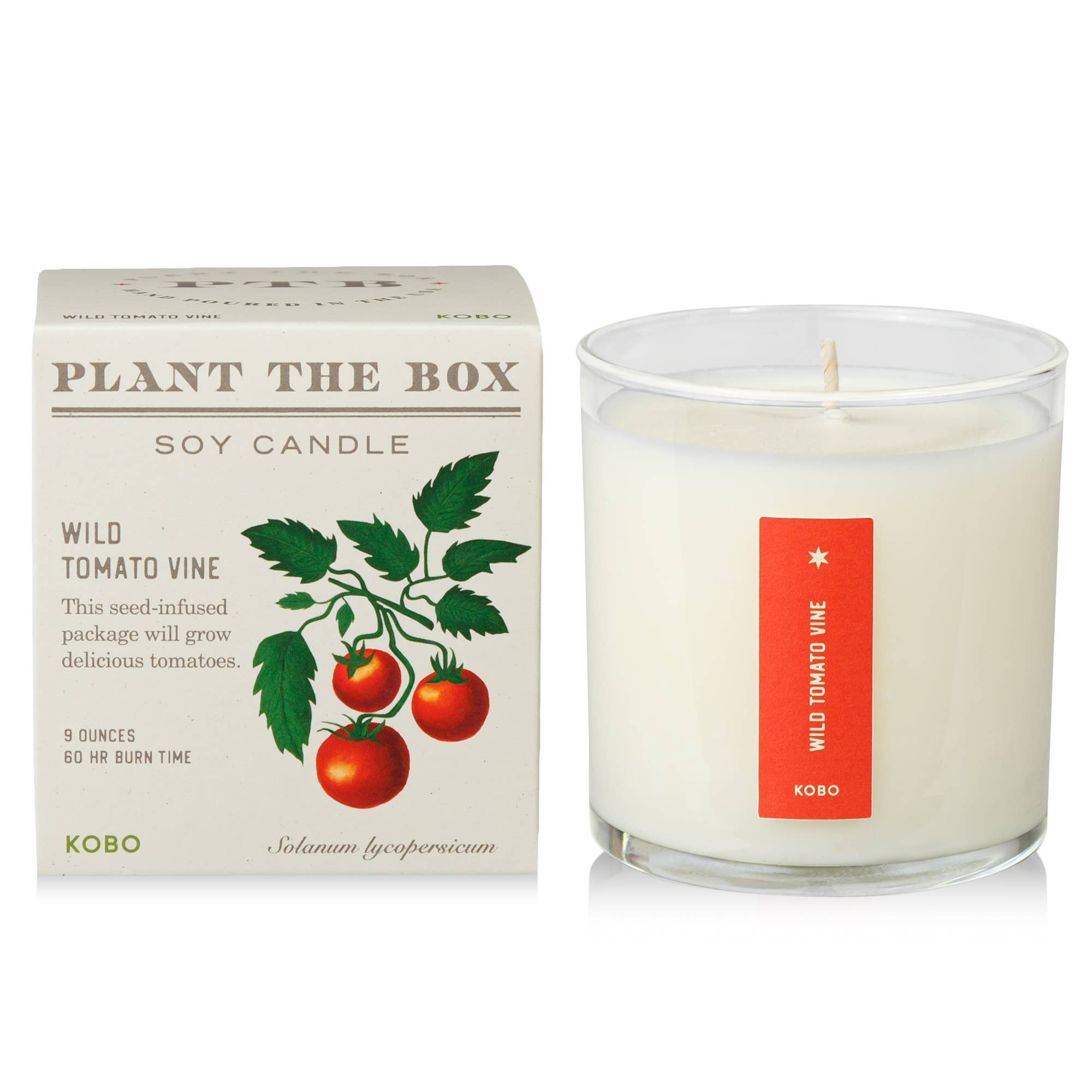 KOBO - Wild Tomato Vine - Plant the Box Candle - 9oz.