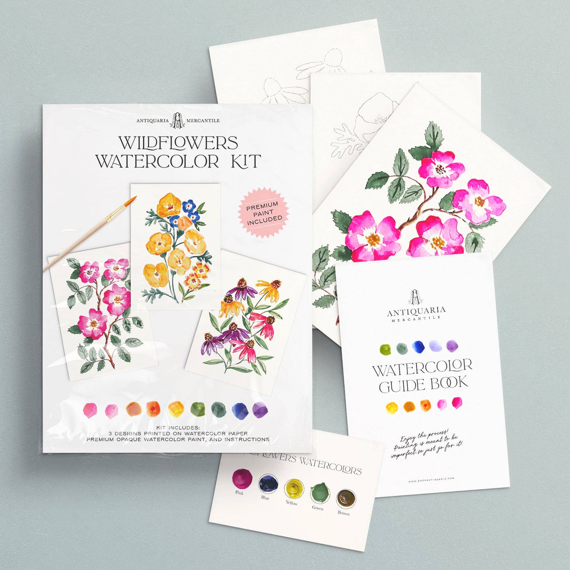 Antiquaria - Watercolor Painting Kit : Wildflowers No1