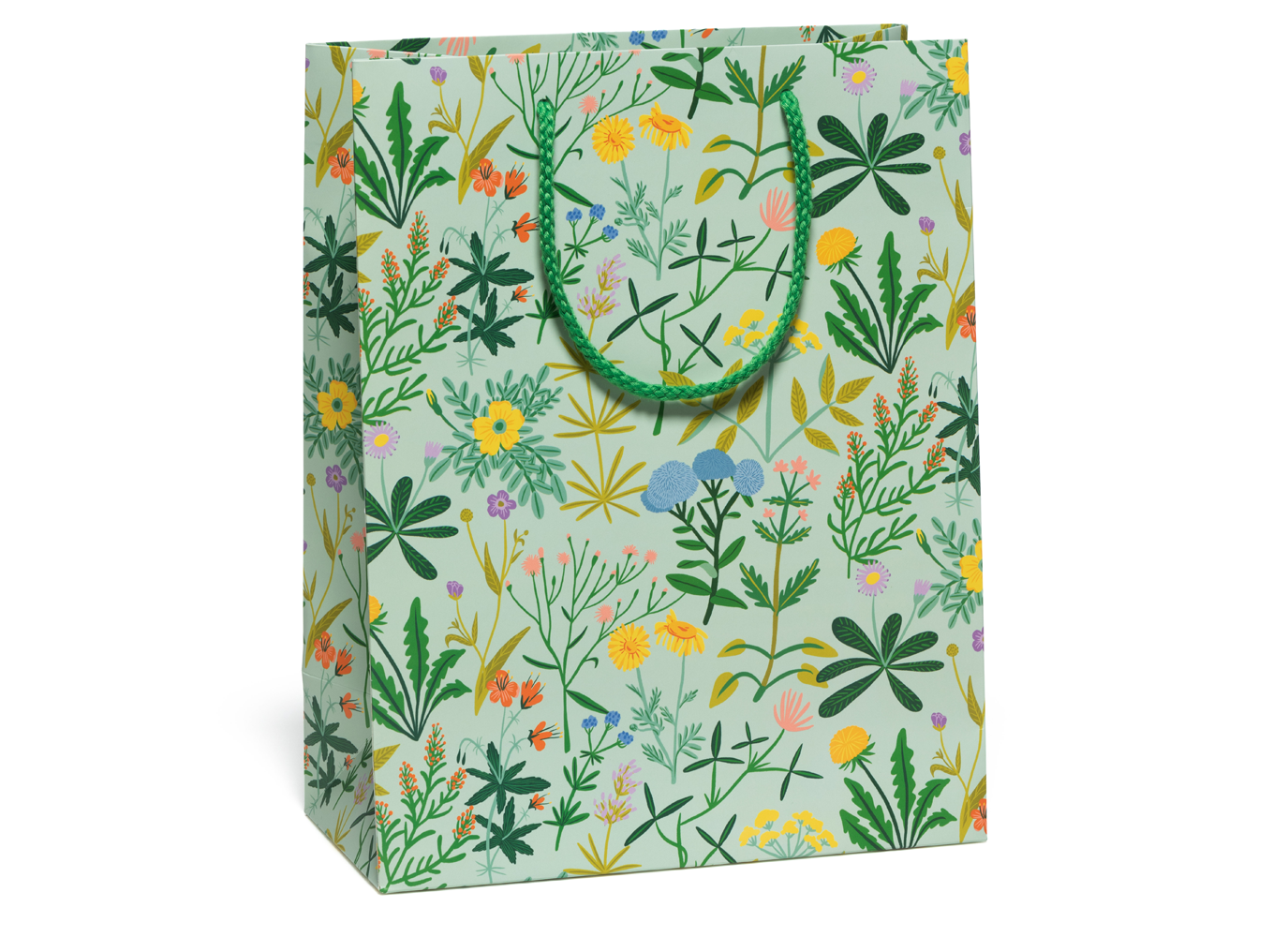 Red Cap Cards - Growing Wild gift bag