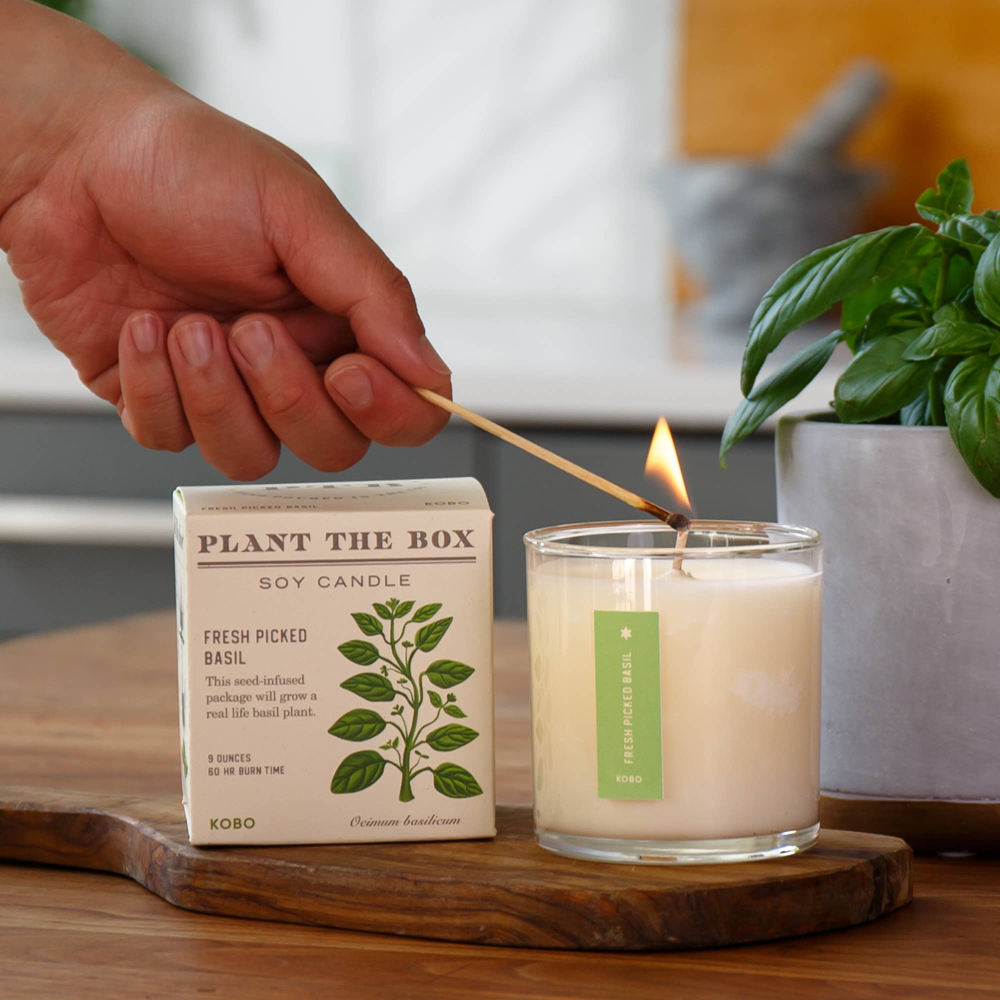 KOBO - Fresh Picked Basil - Plant the Box Candle - 9oz.
