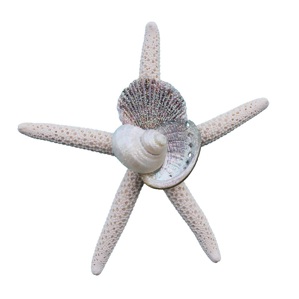 California Seashell Company - White Finger Starfish Collage Magnet