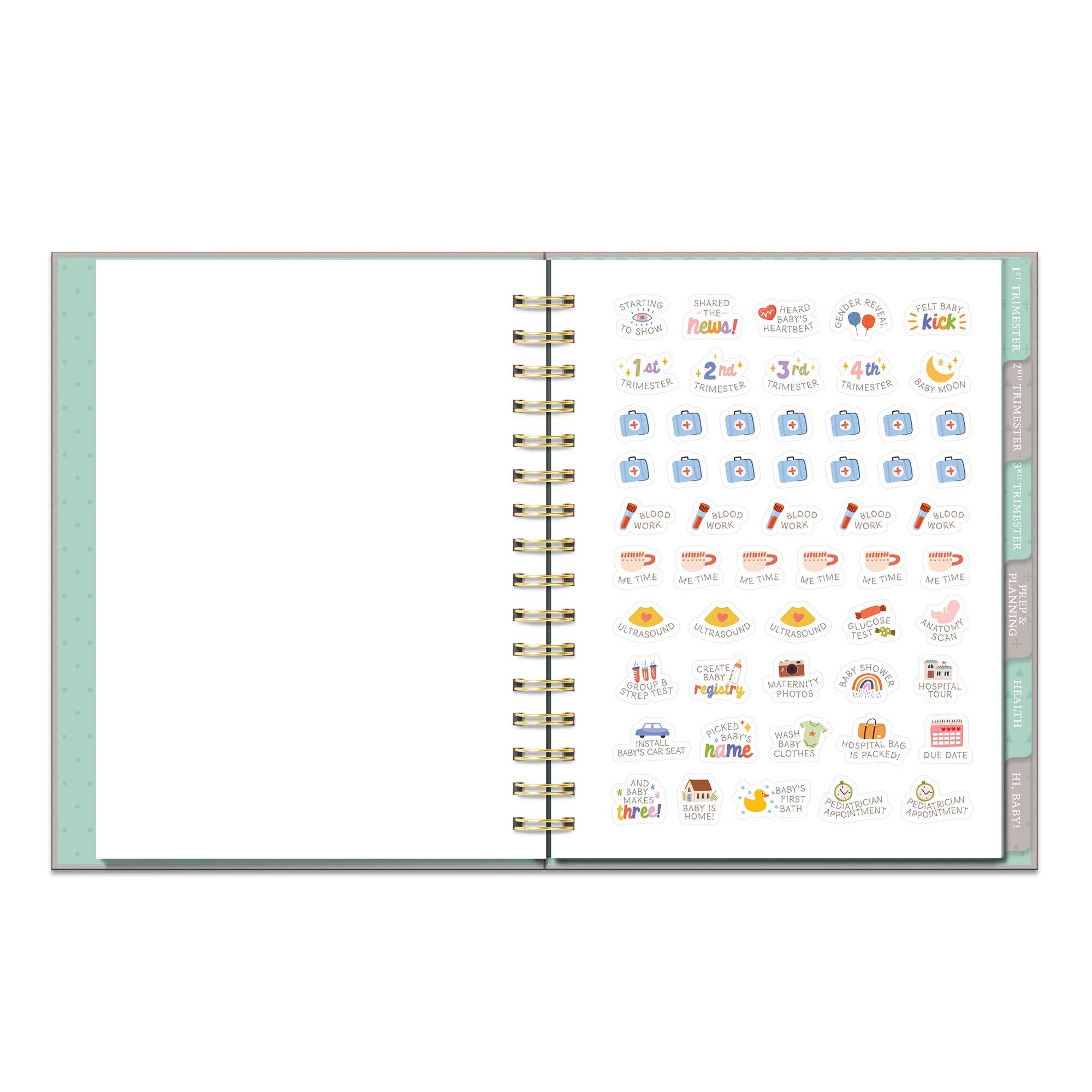 Studio Oh! - Countdown to Baby Undated Pregnancy Planner