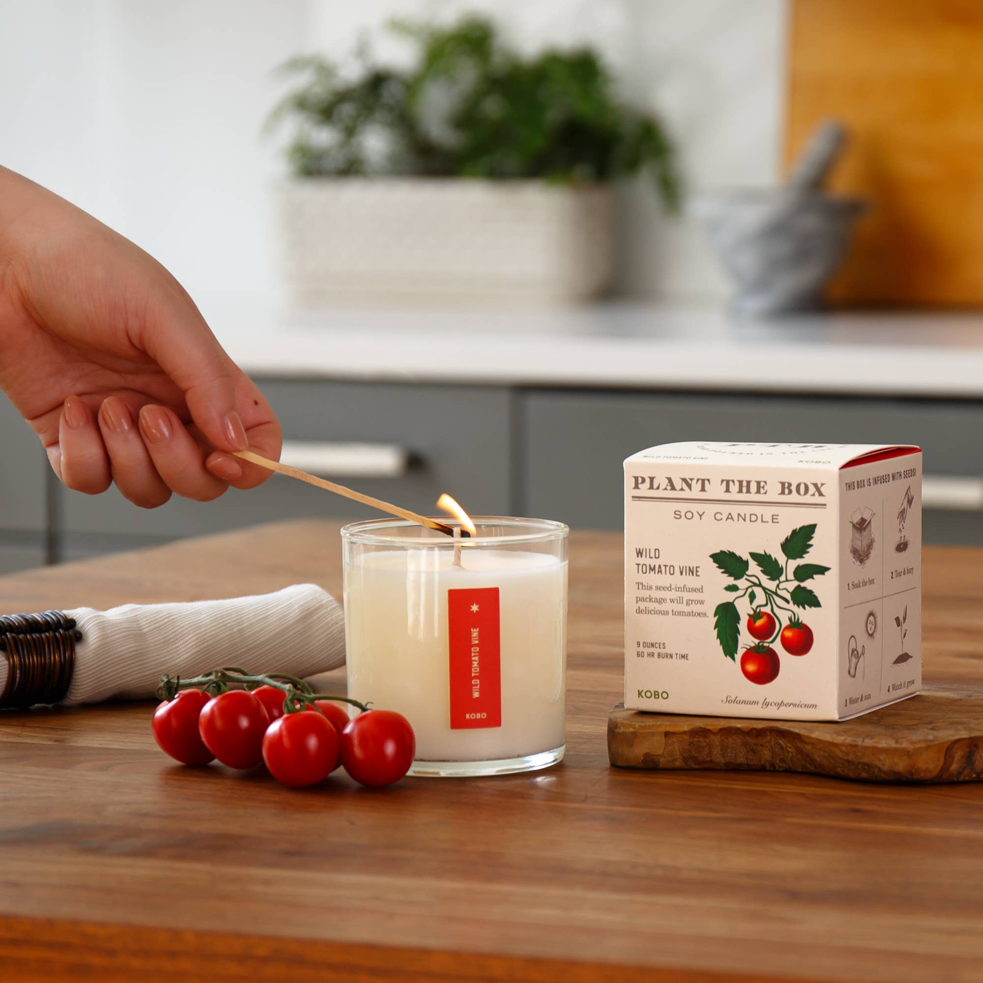 KOBO - Wild Tomato Vine - Plant the Box Candle - 9oz.