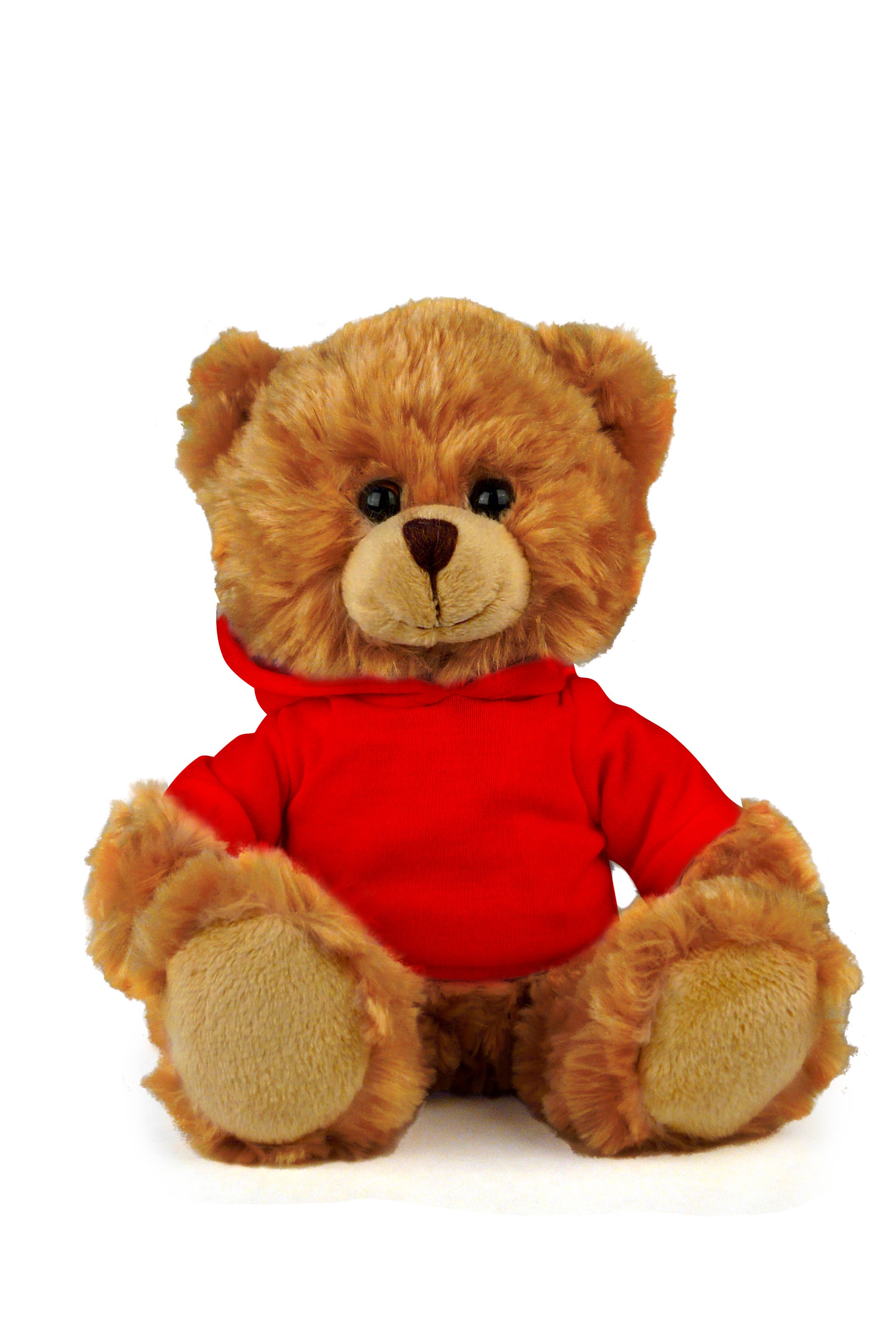 San DiegoBear with hoodie
