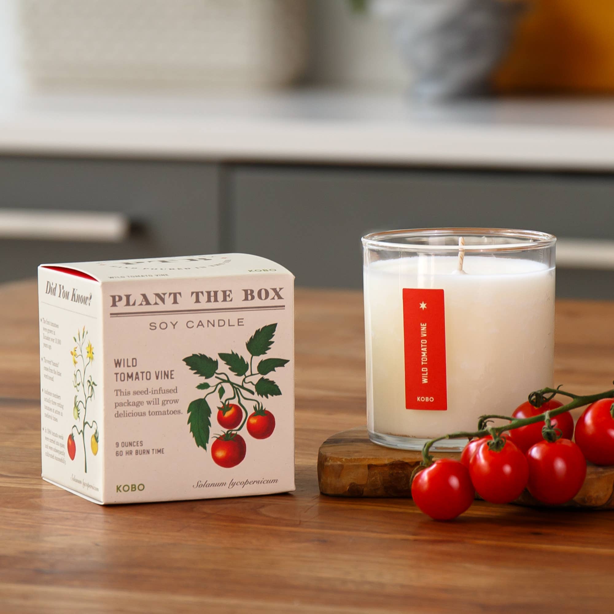 KOBO - Wild Tomato Vine - Plant the Box Candle - 9oz.