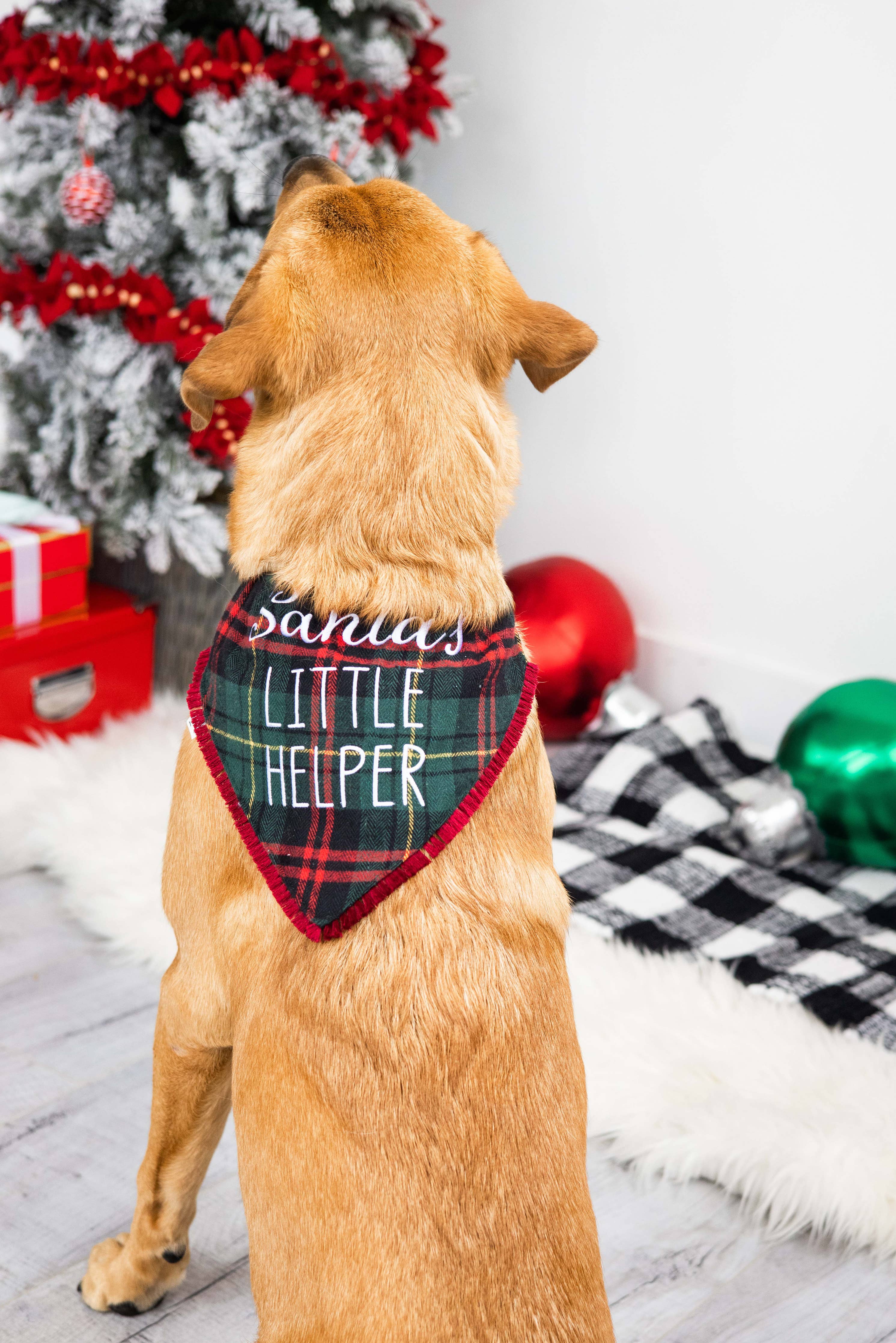 Pearhead - Santa's Little Helper Christmas Dog Bandana, M/L