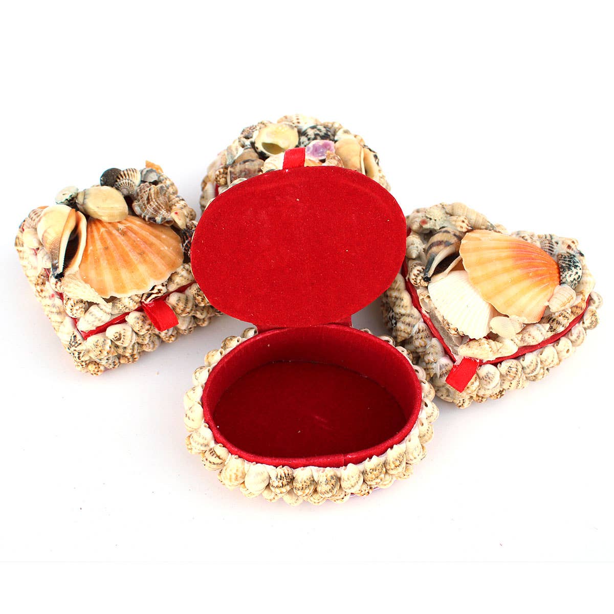 California Seashell Company - Small Shell Boxes - 4 Assorted