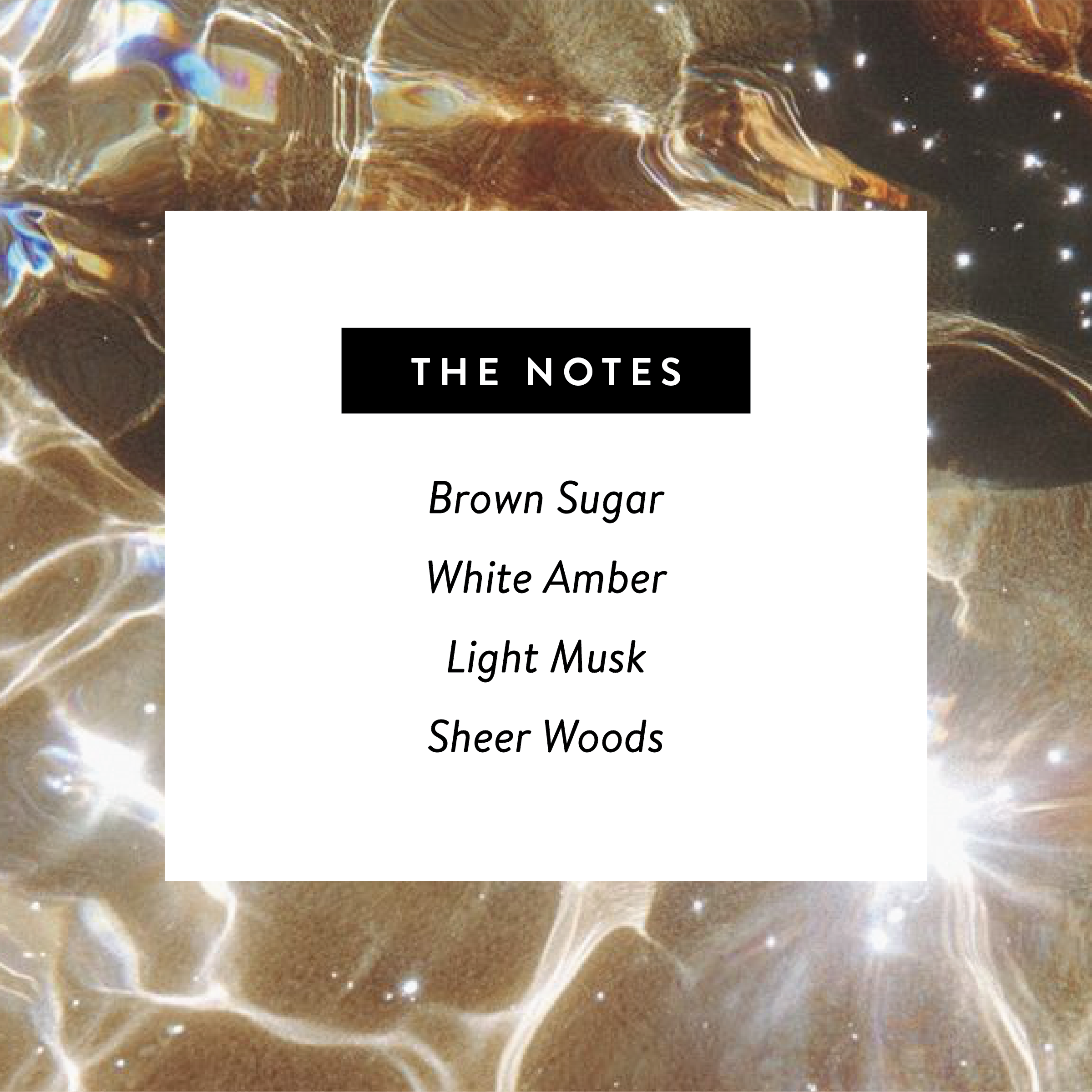 West Clay Company - 333 🪽 Perfume - Amber, Nontoxic Eau De Parfum 1.7oz