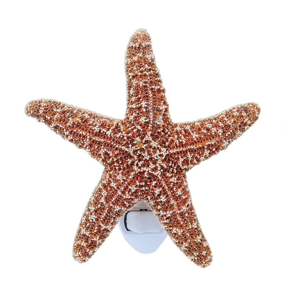 California Seashell Company - Sugar Starfish Night Light