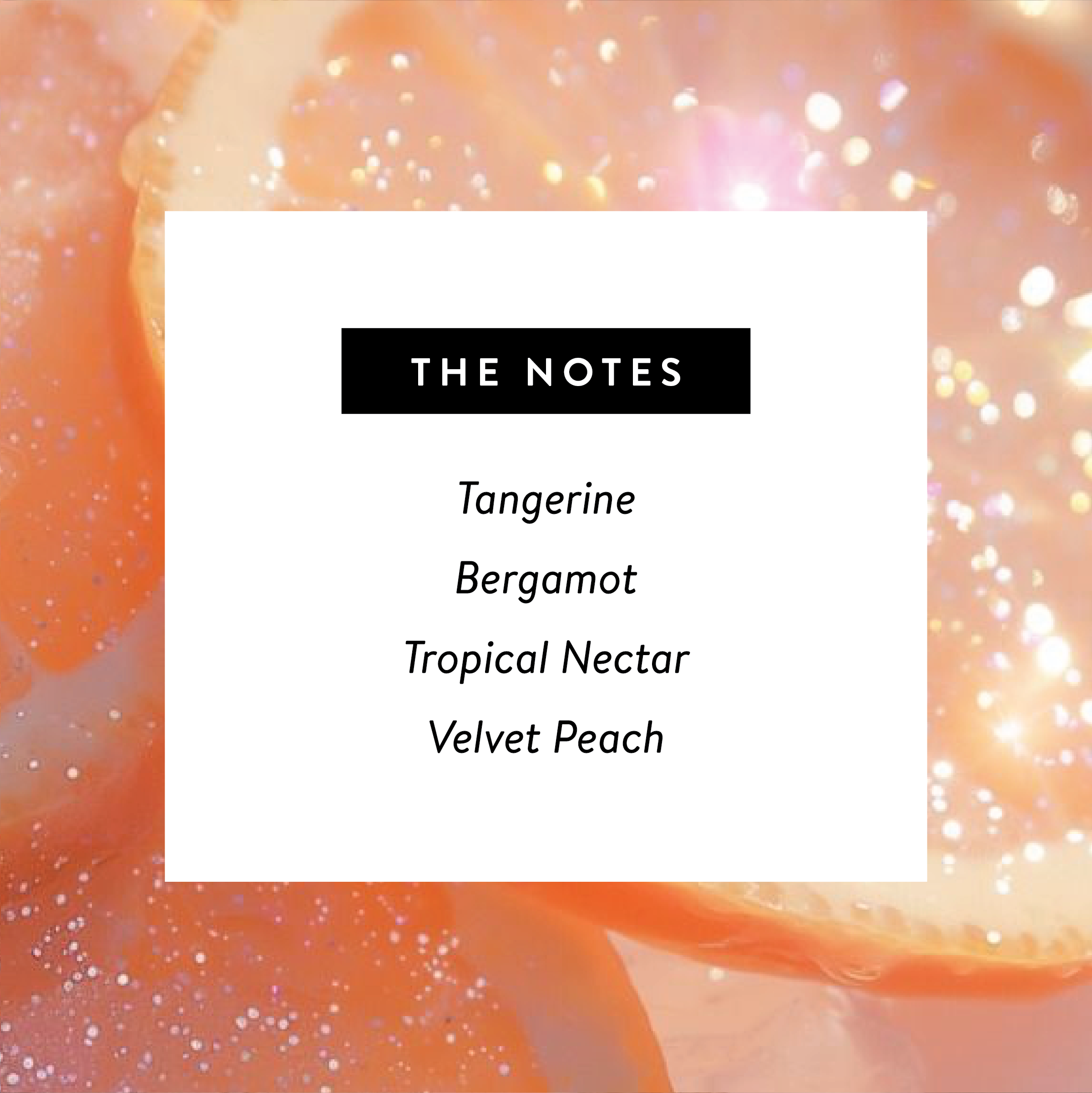 West Clay Company - Sunhoney ☀️ Perfume - Nontoxic Eau De Parfum 1.7oz